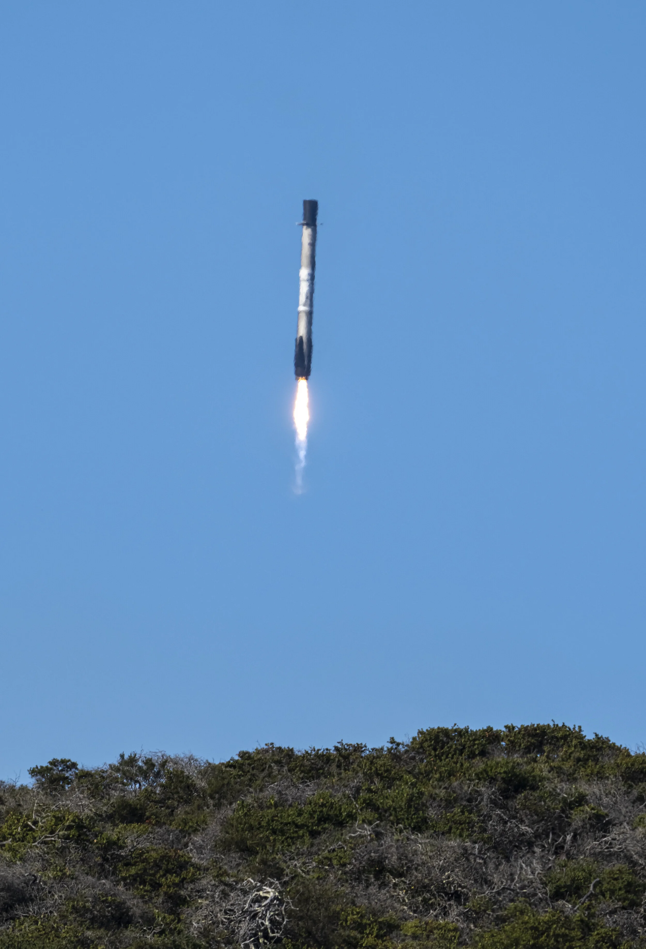 A rocket launching with smoke and fire at the bottom, ascending into a clear blue sky, with trees at the bottom of the image.