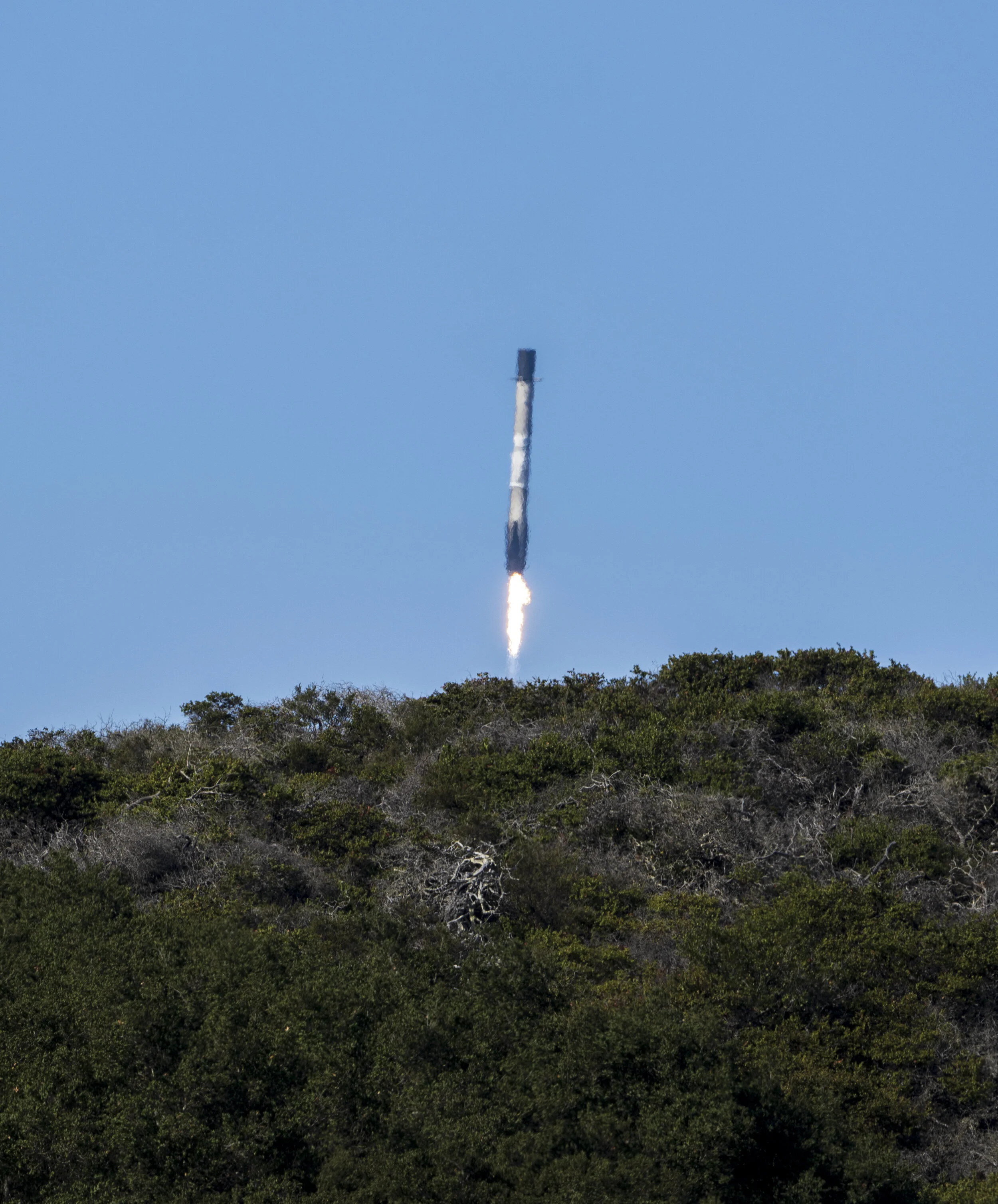 A rocket launching into the sky over a forested area.