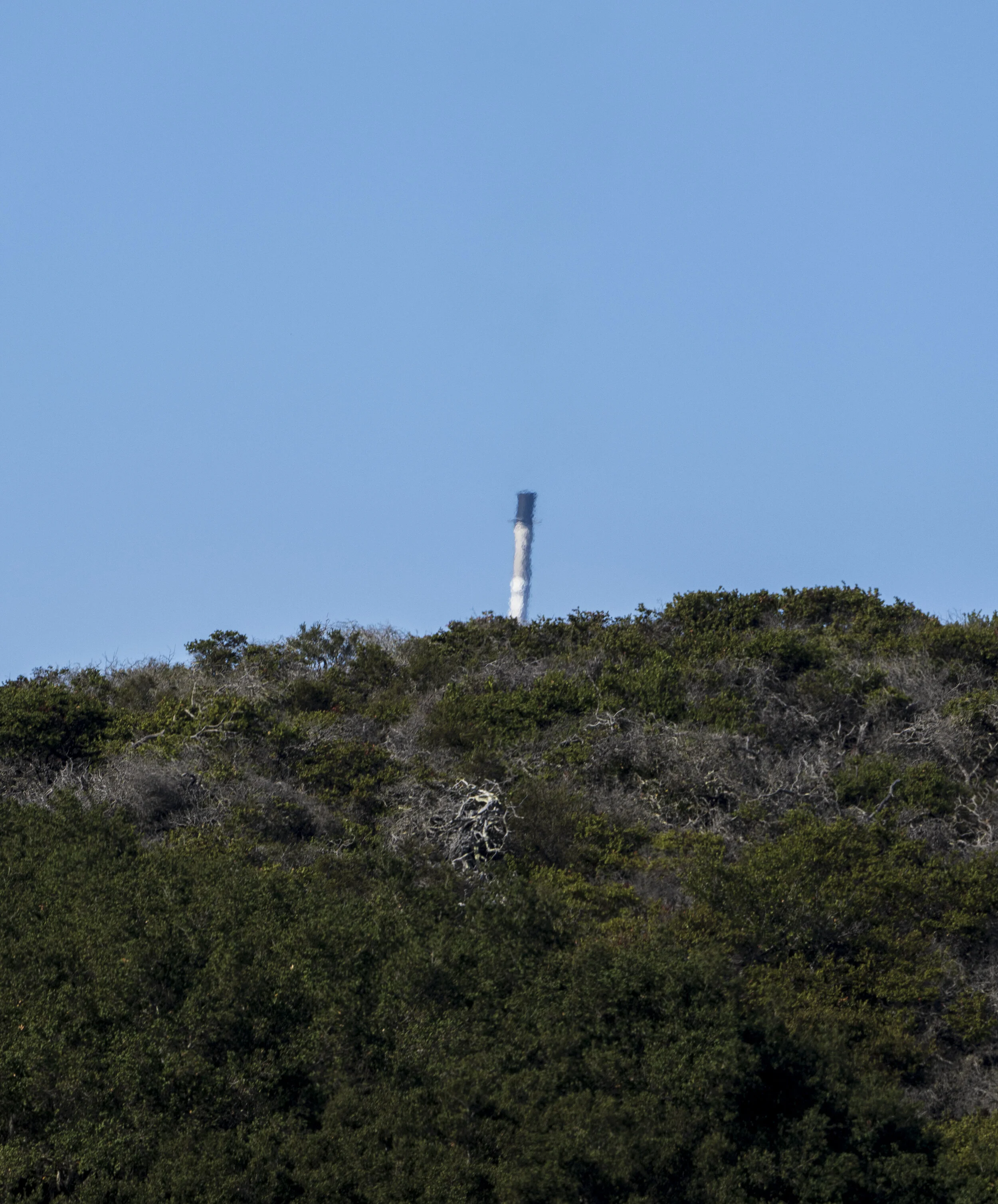 A tall chimney emitting white smoke or steam against a clear blue sky, with a forested hillside in the foreground.