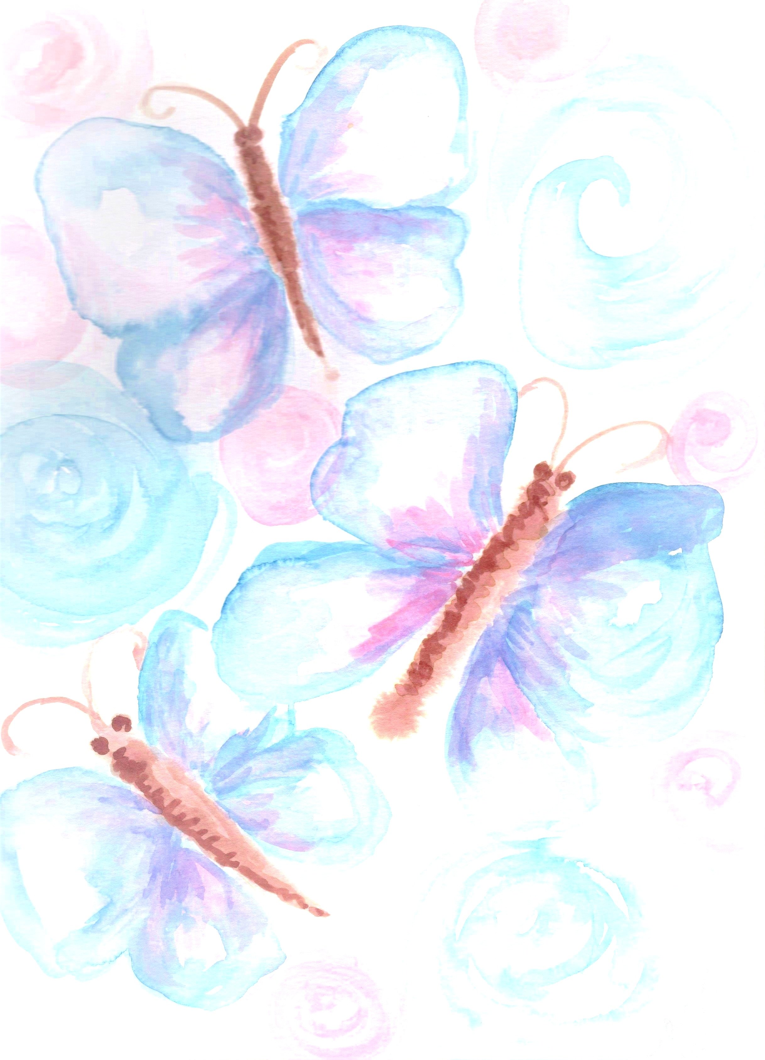 Spring Butterflies-IA00022