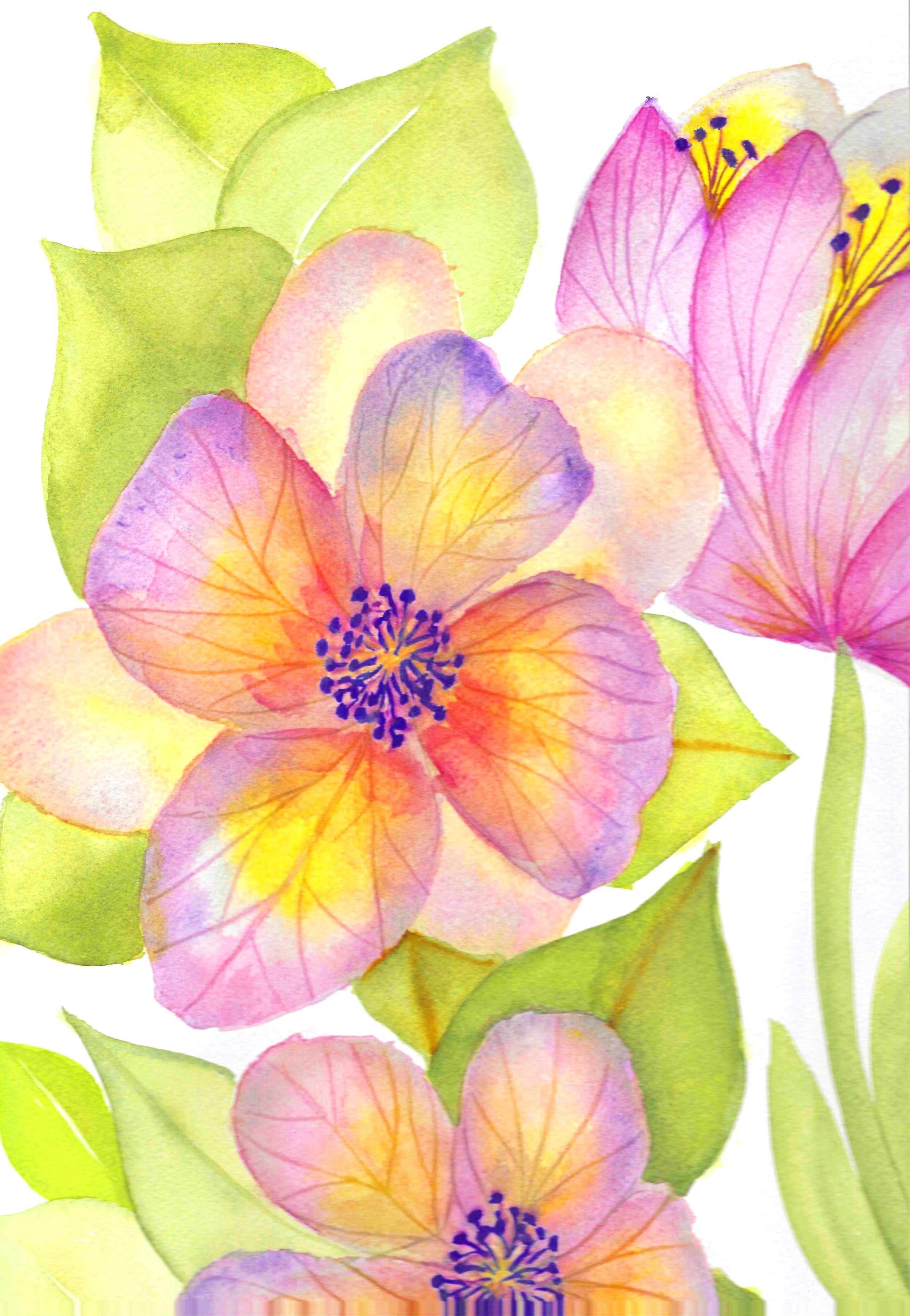 Watercolor tulips-IA00016