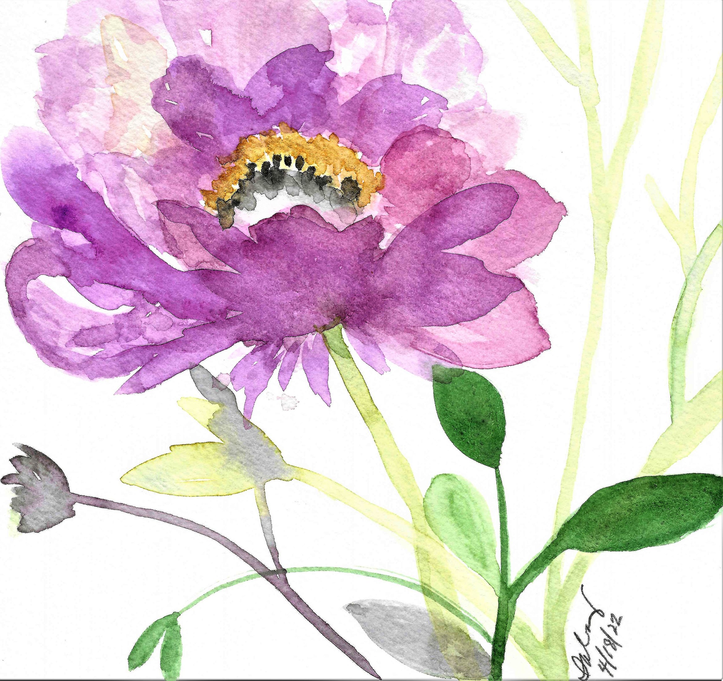 Small Watercolor Peony-IA00010