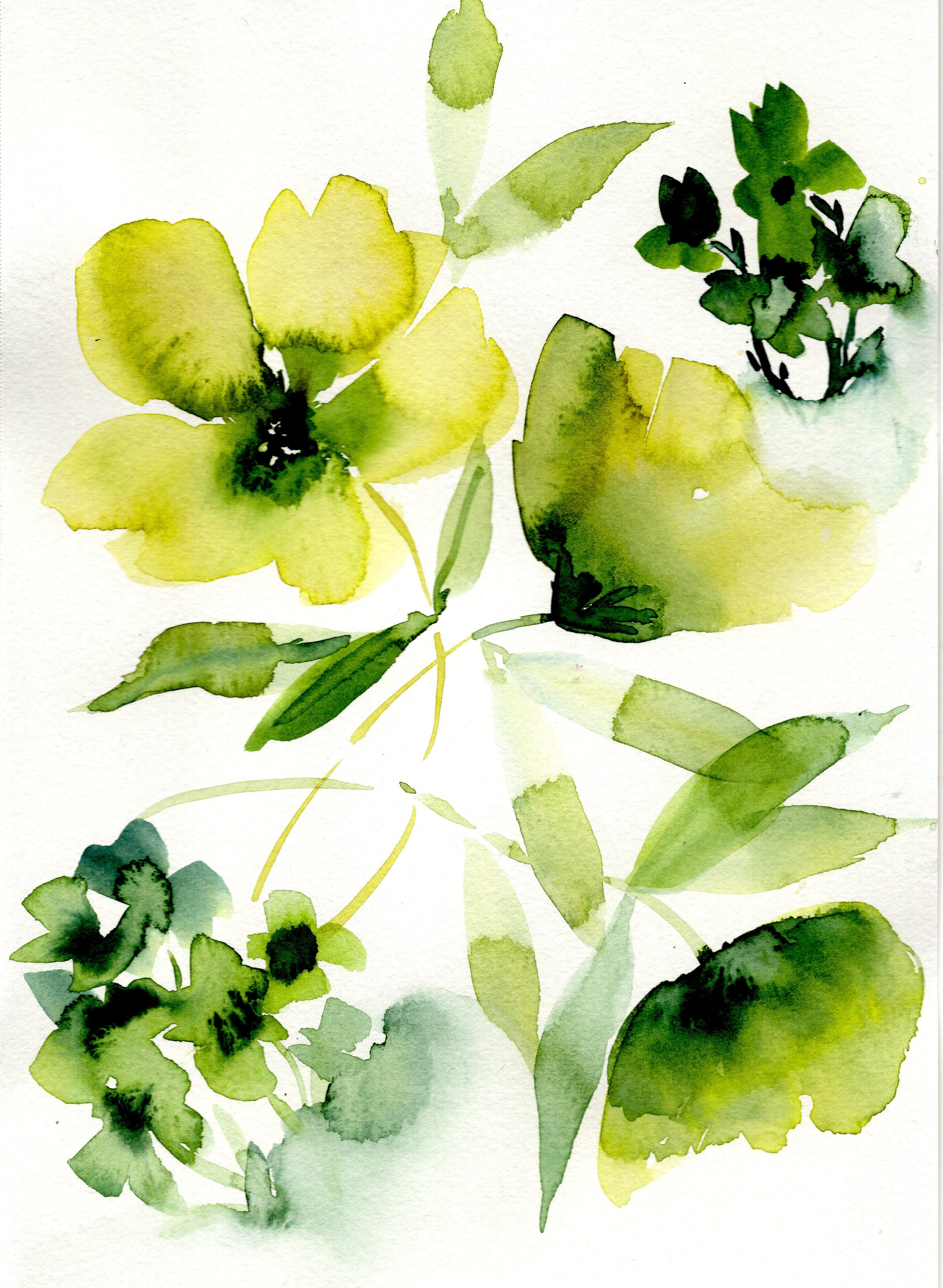 yellow-1.jpg