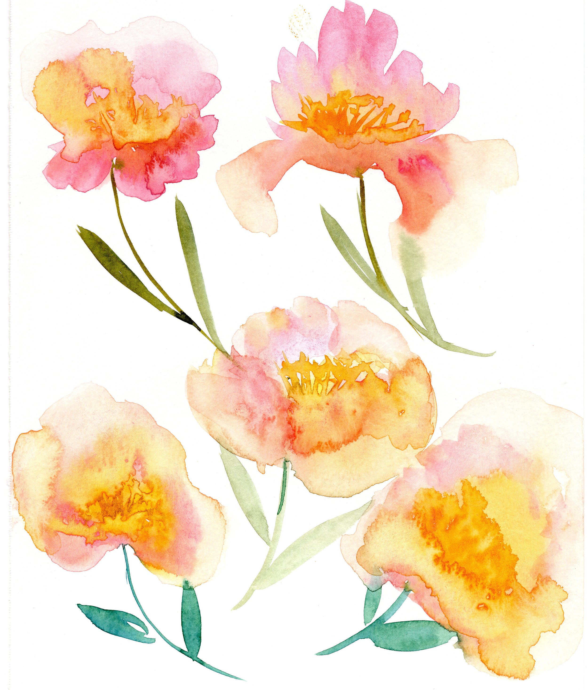 Soft-Spring-5.jpg