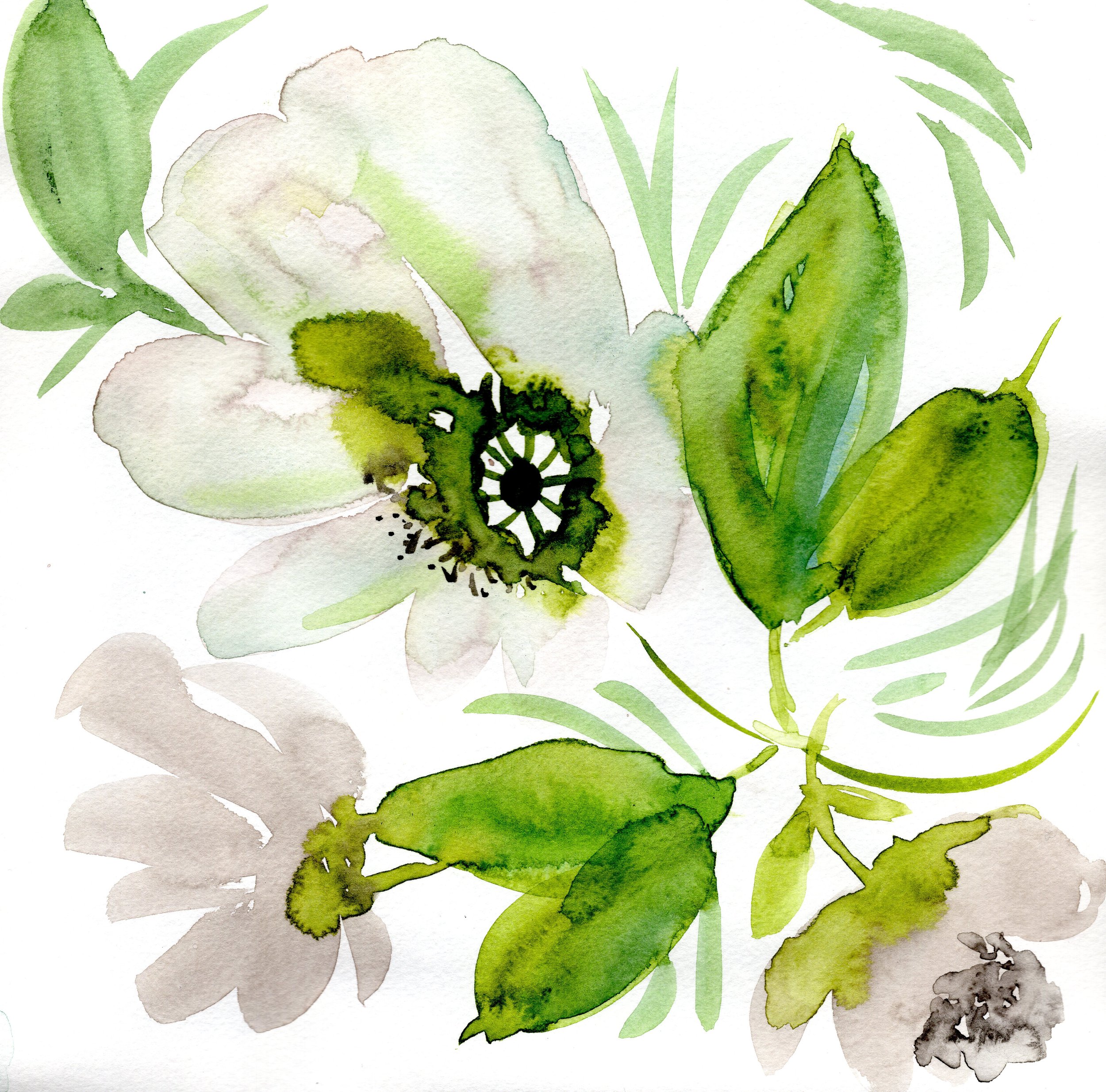 White and green flowers 2