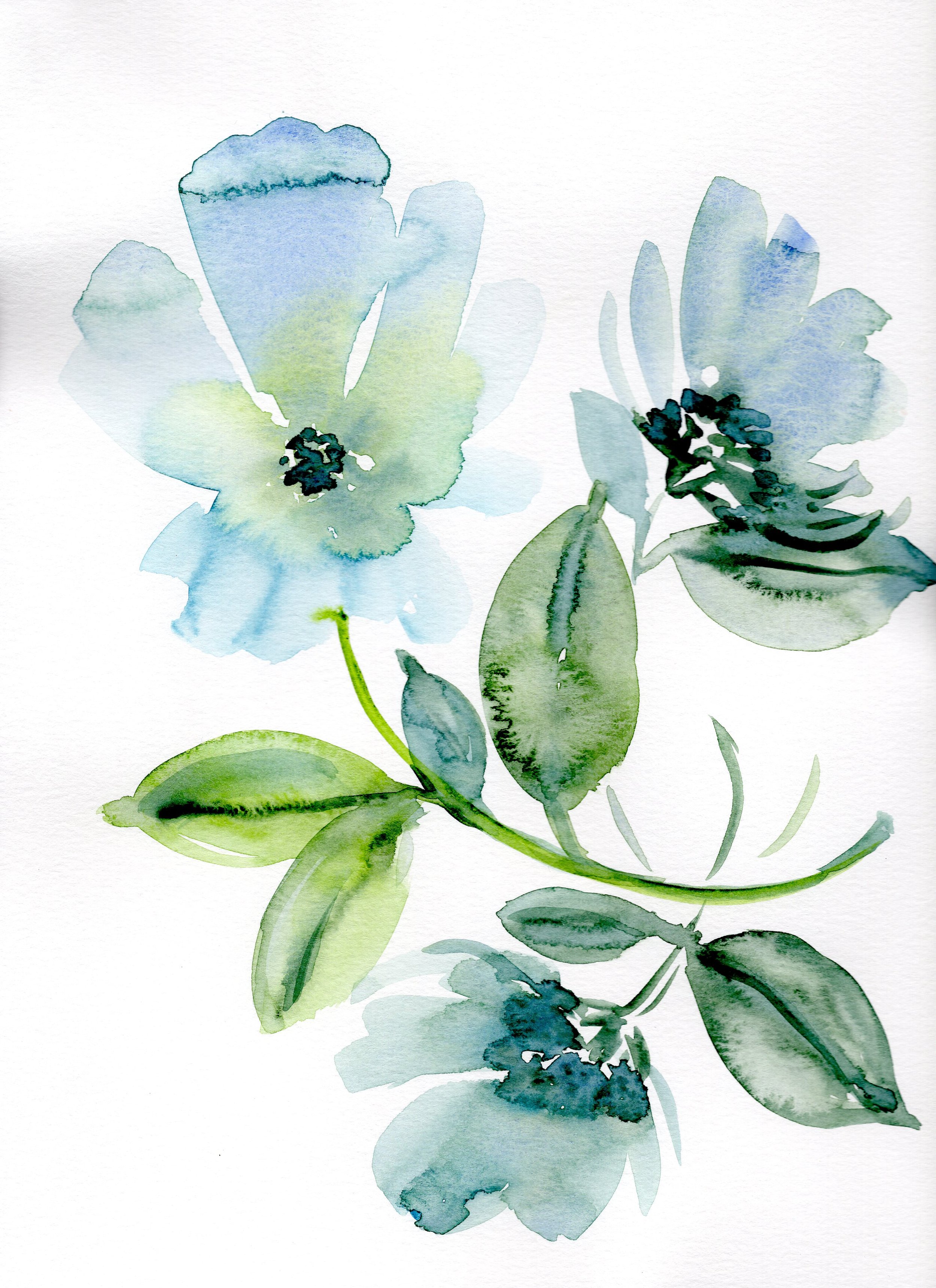 Blue Floral light-IA0004