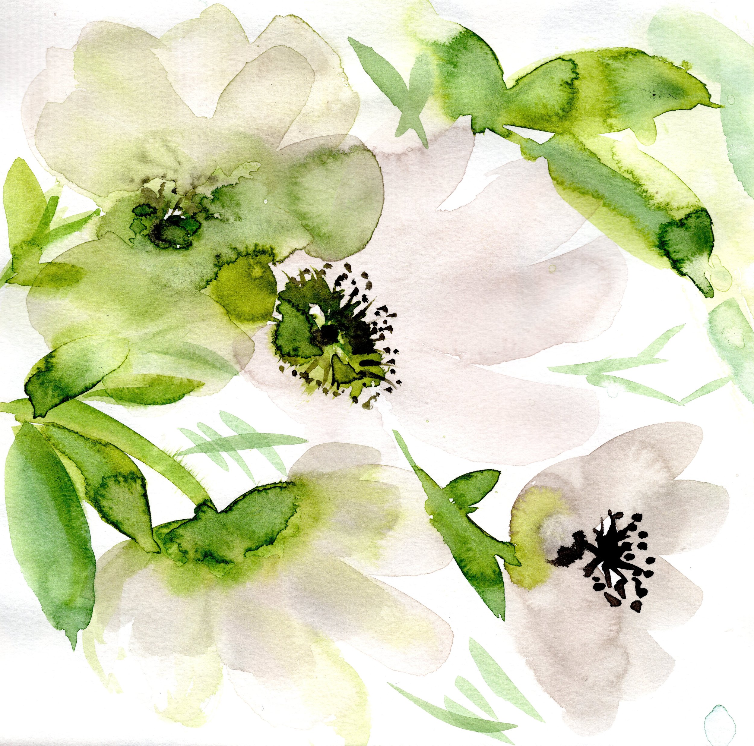 White and green flowers