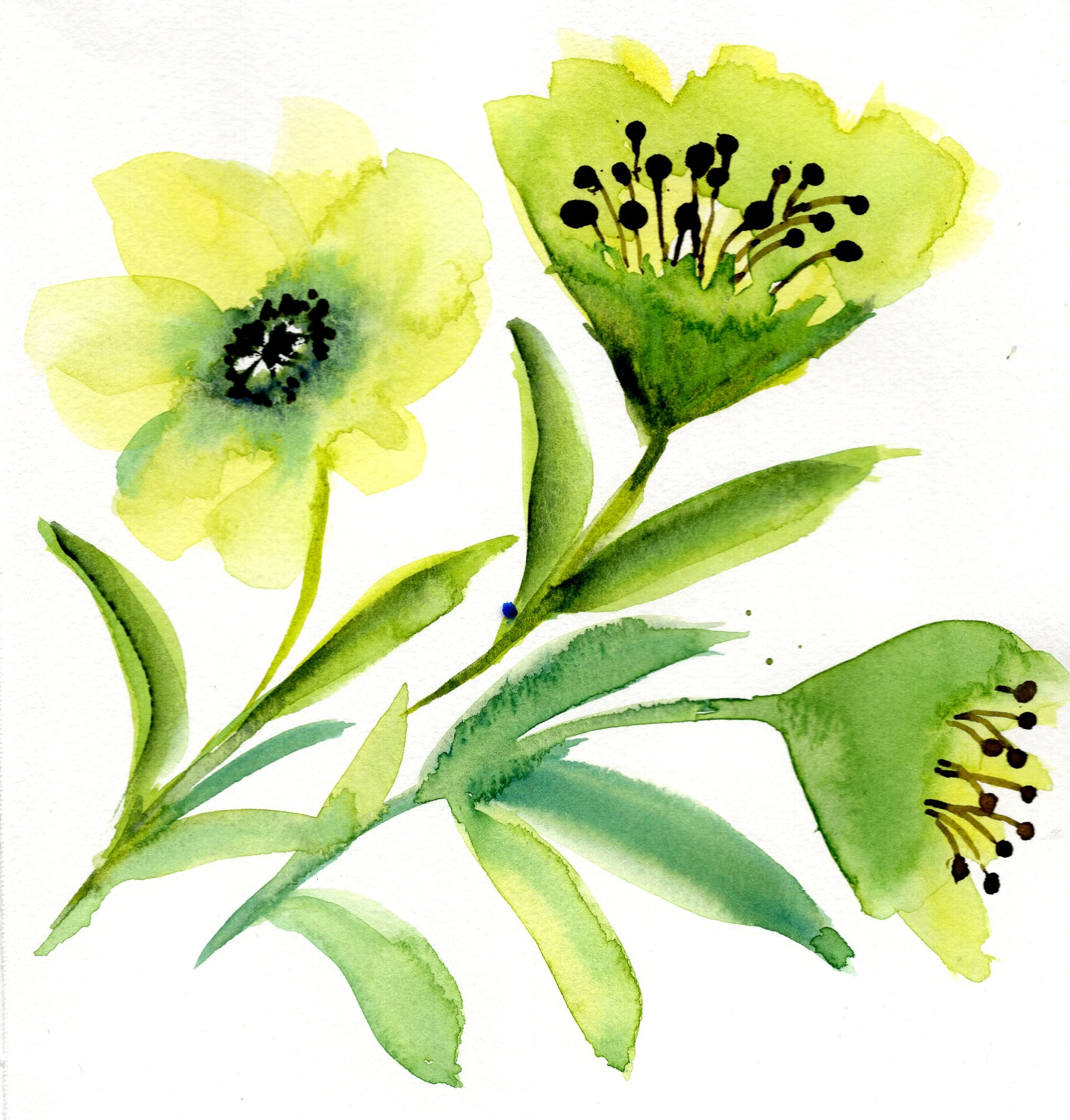 yellow-6.jpg