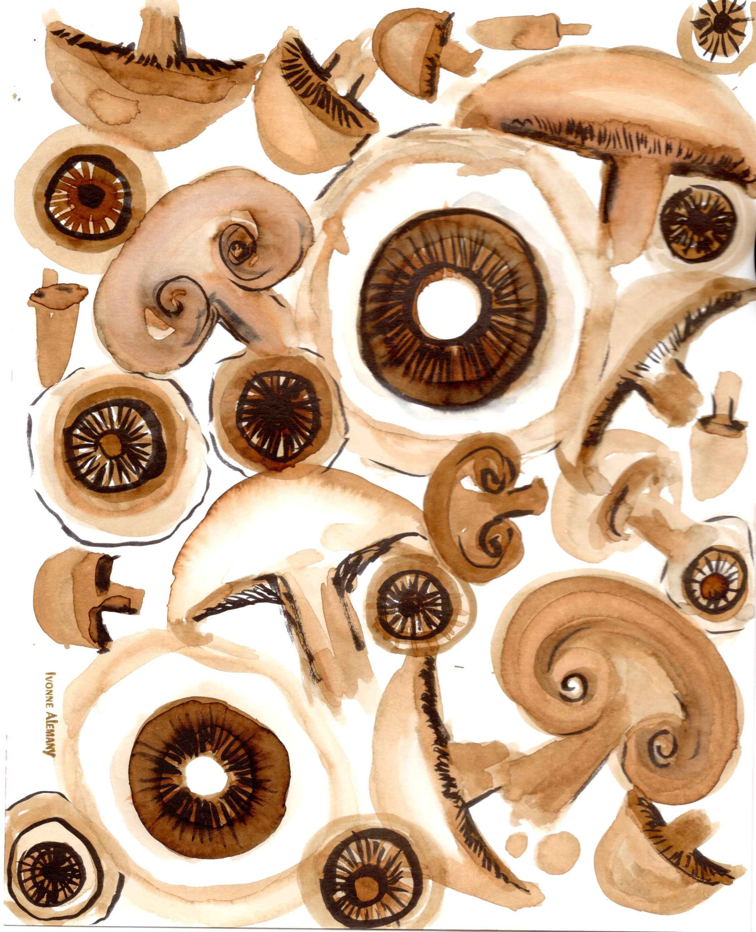 Mushrooms