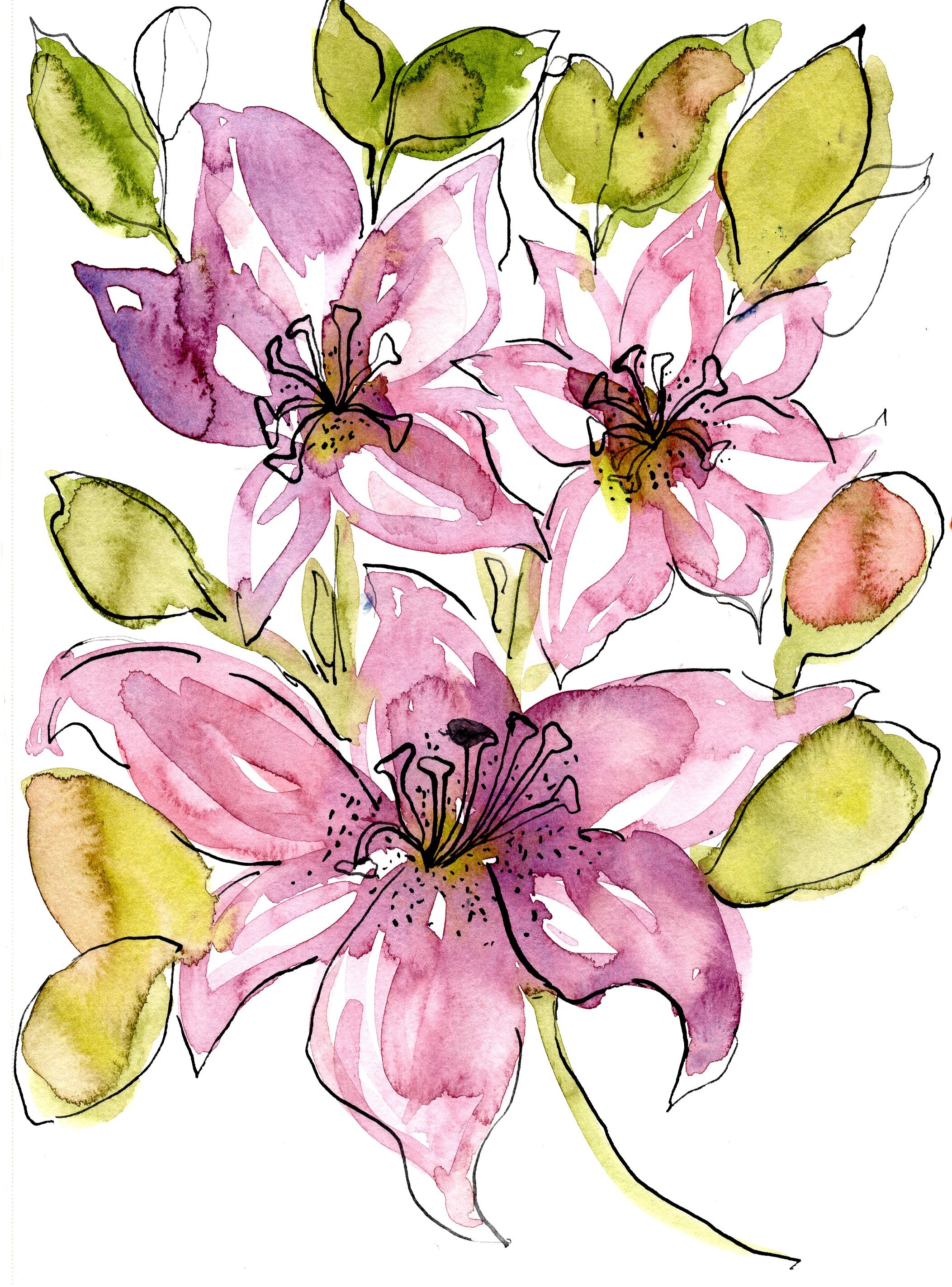 lily-violet-1.jpg