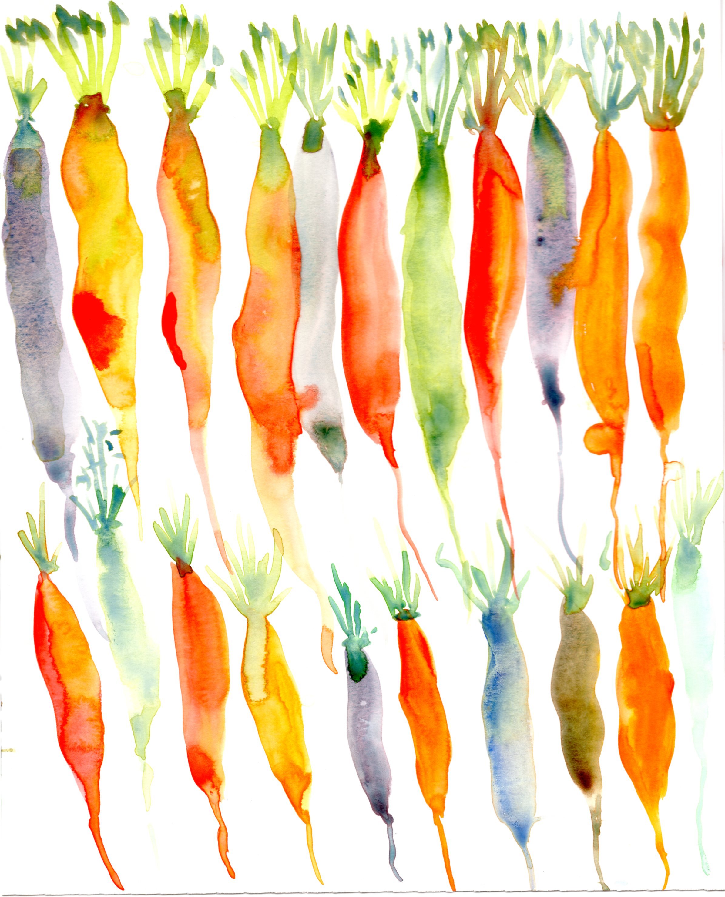 Carrots