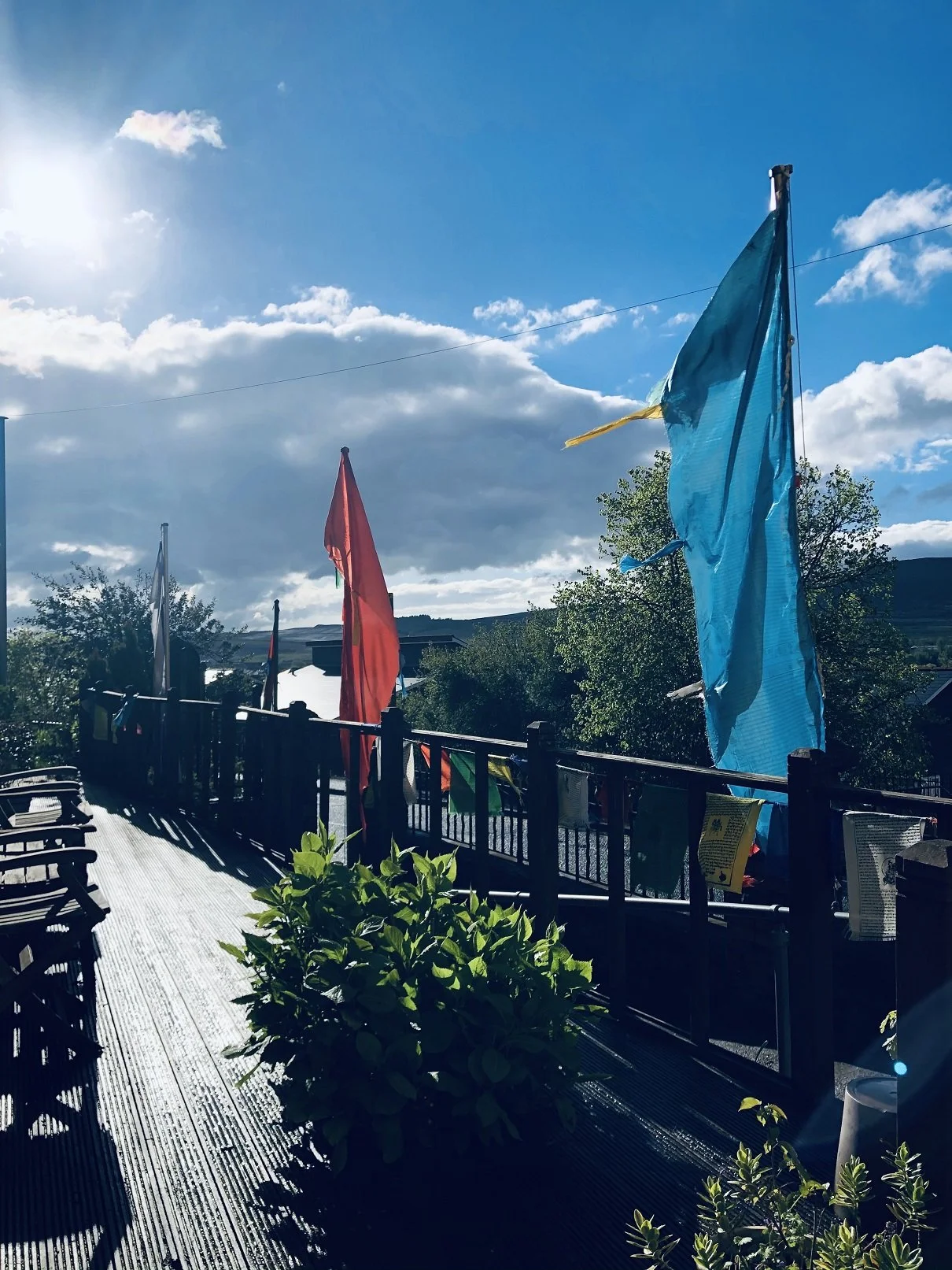 2021-05-26 21.55.30-8.jpg