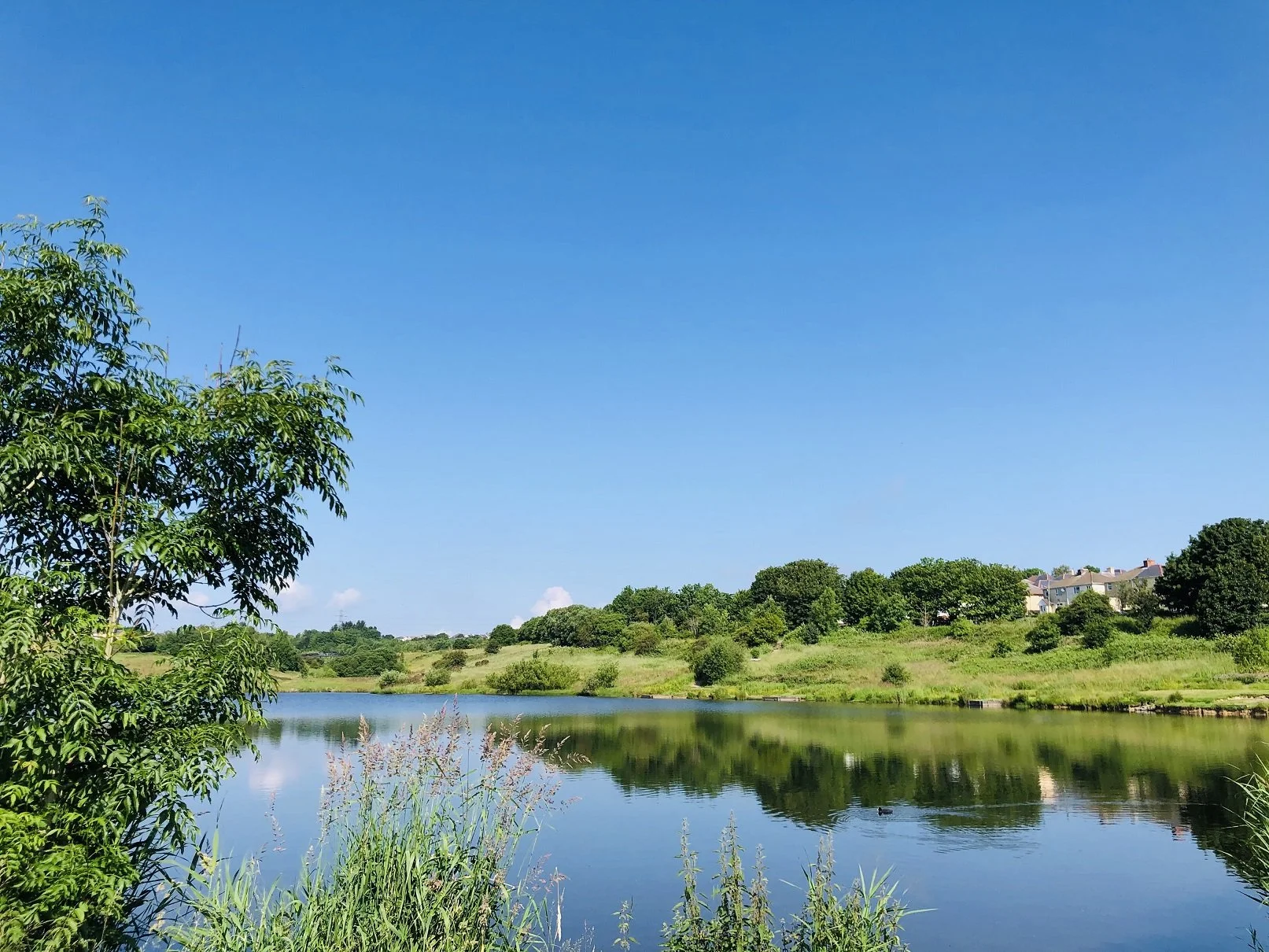 2021-07-02 09.45.14.jpg