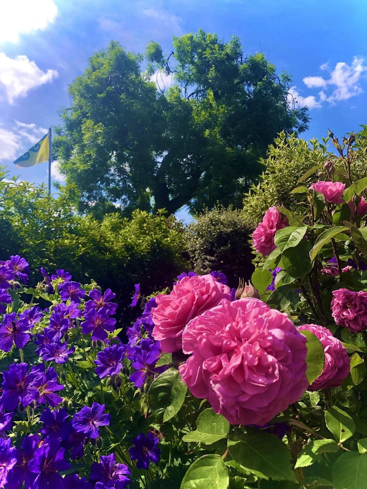 2022-06-21 15.28.55.jpg