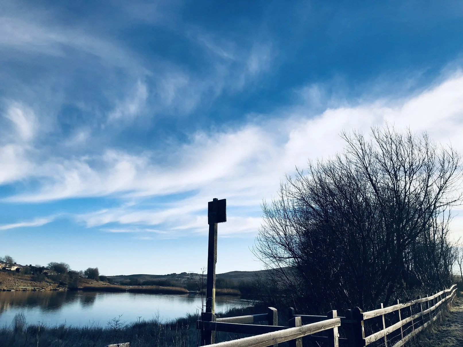 2022-01-12 09.33.08.jpg