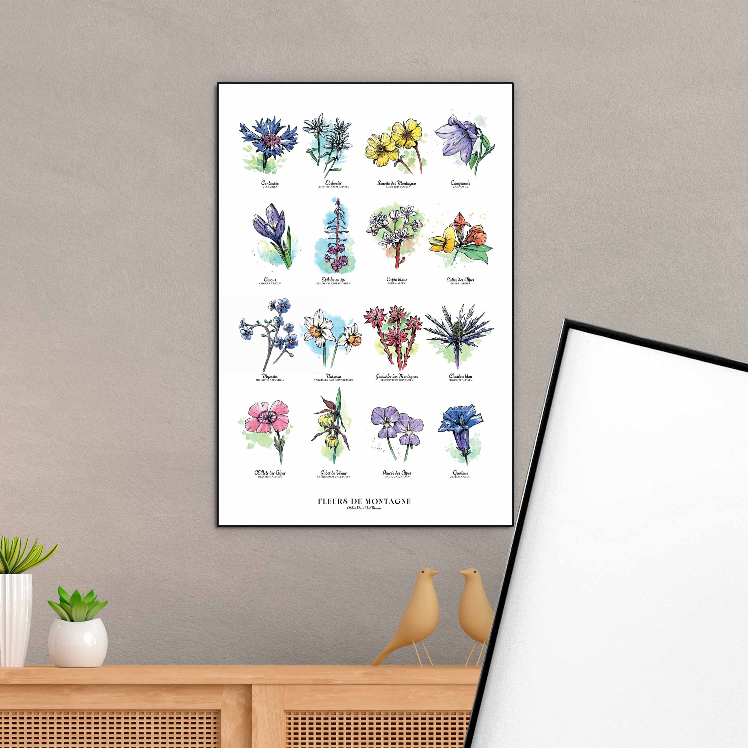 TOUTES-FLEURS-ALU.jpg