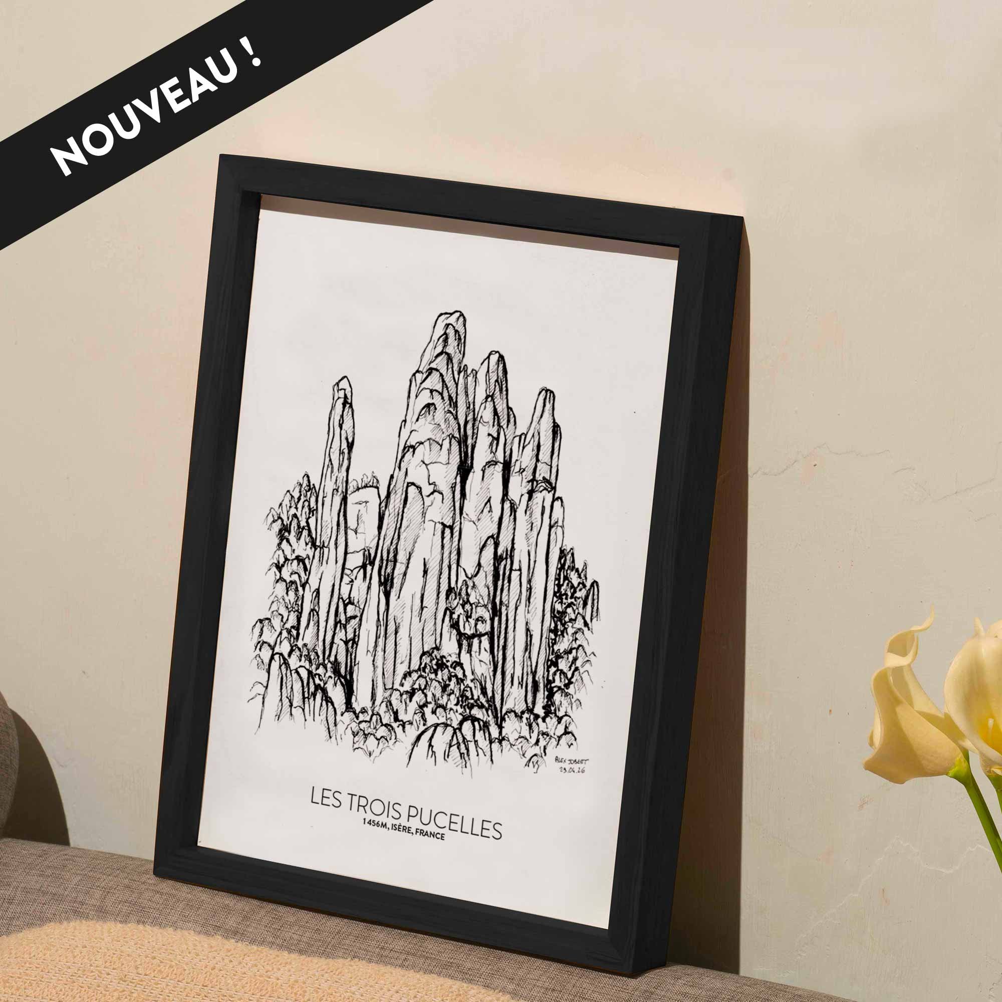 VIGNETTE-3-PUCELLES.jpg