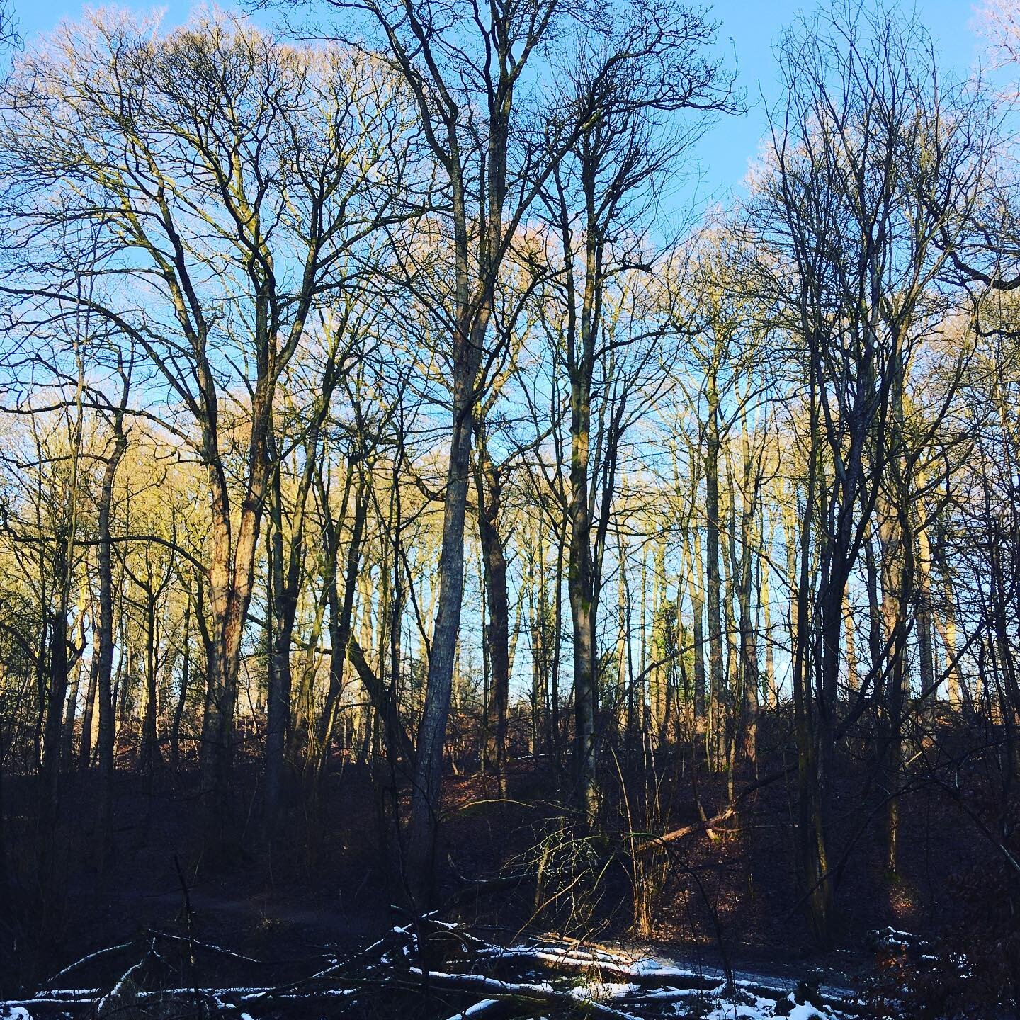 Colours in nature on my walk today.