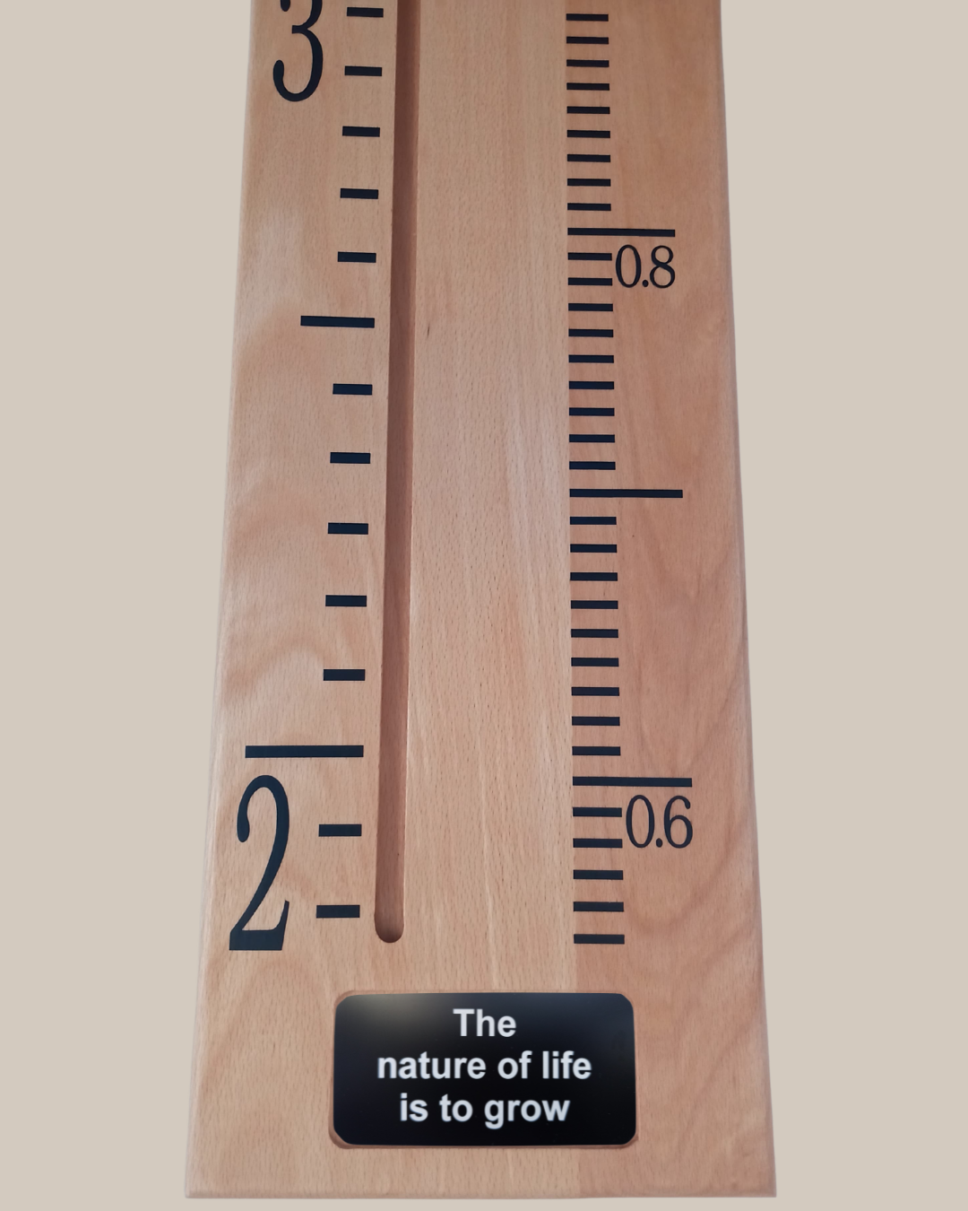 Beech Ex Wide (2).png