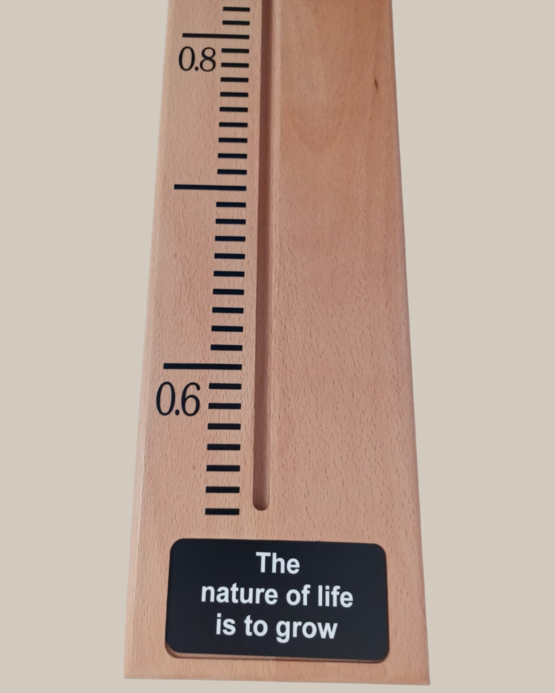 Beech Metric (2).png