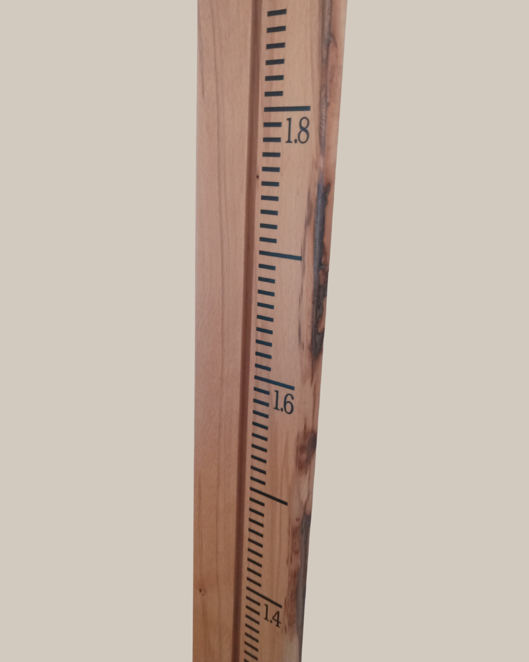 Beech with Marks (2).png