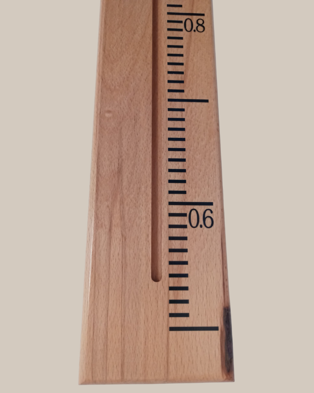 Beech with Marks (3).png