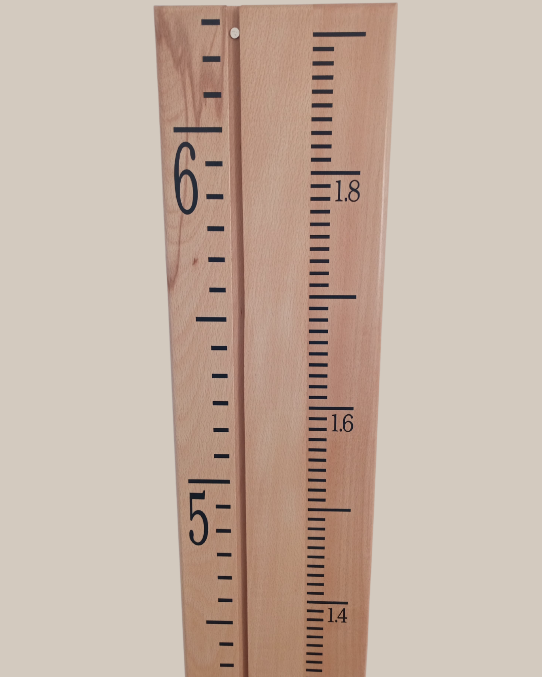 Beech Ex Wide (1).png