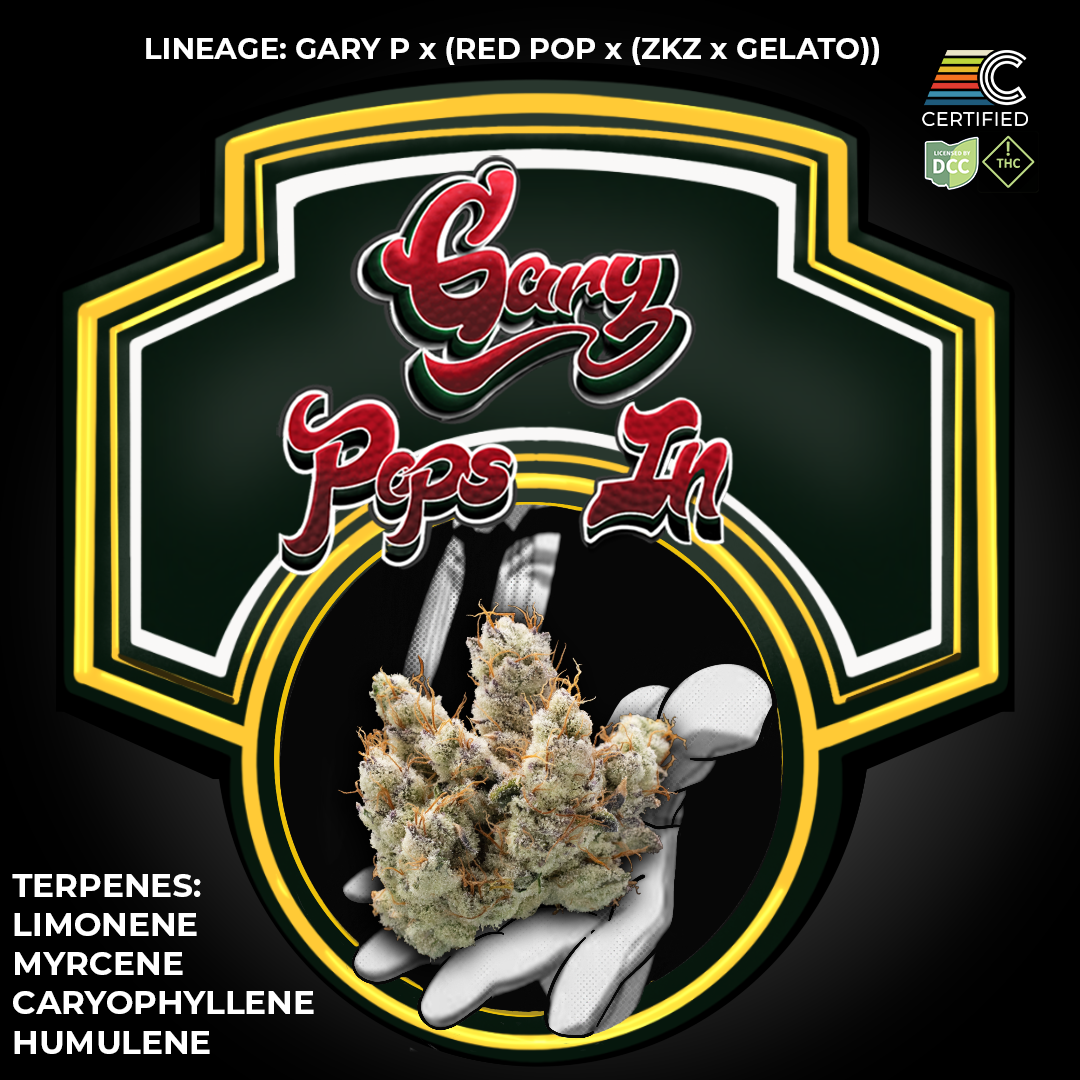 Gary Pops In - Flower 1 - DCC - 1080x1080.png