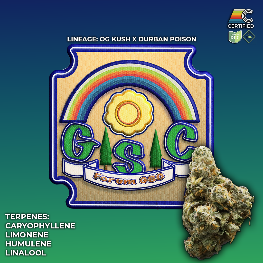 Forum GSC