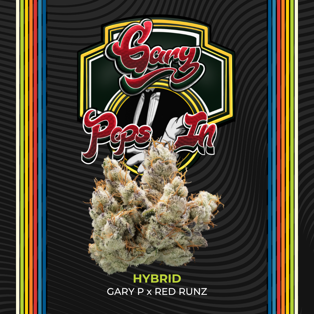 Gary Pops In