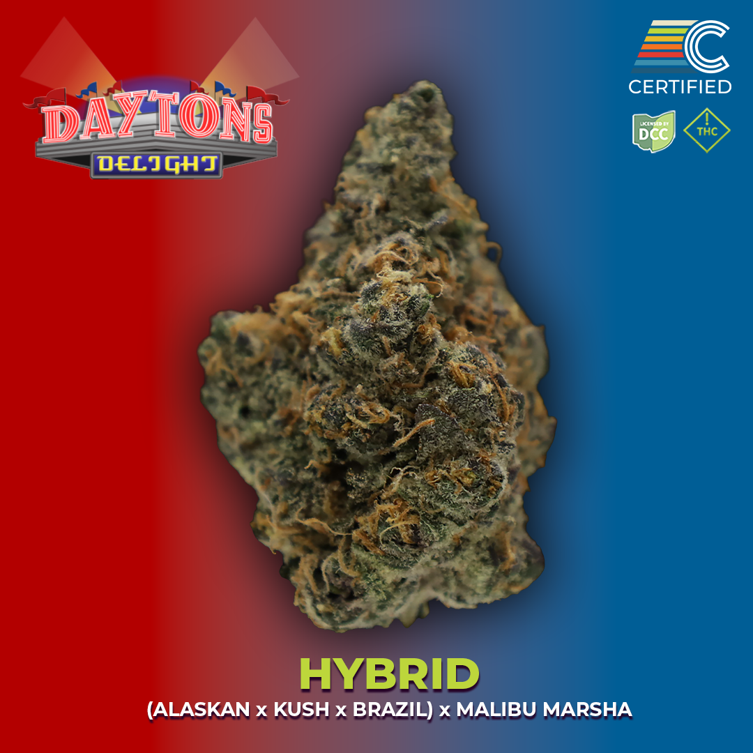 Dayton's Delight - Flower 2 - DCC - 1080x1080.png