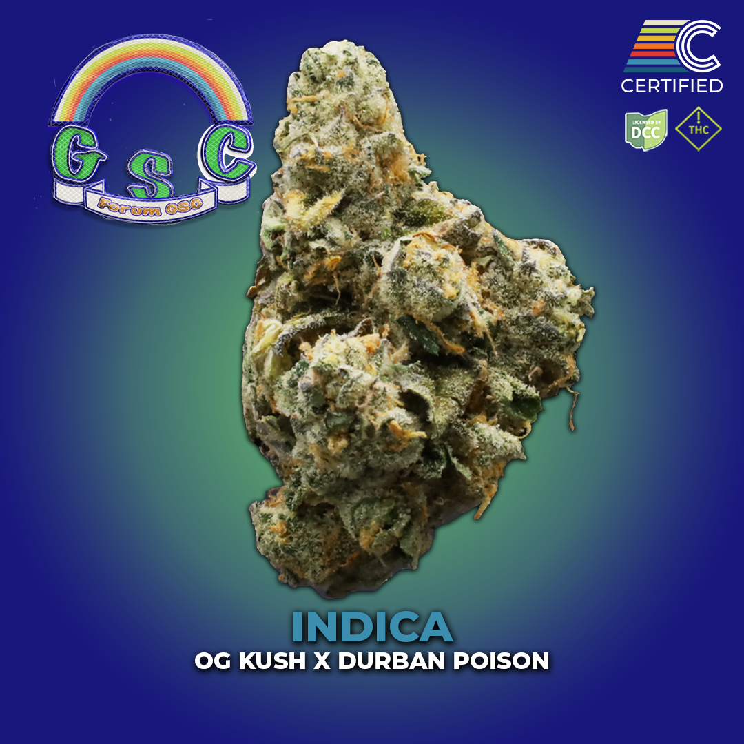 Forum GSC - Flower 2 - DCC - 1080x1080.png