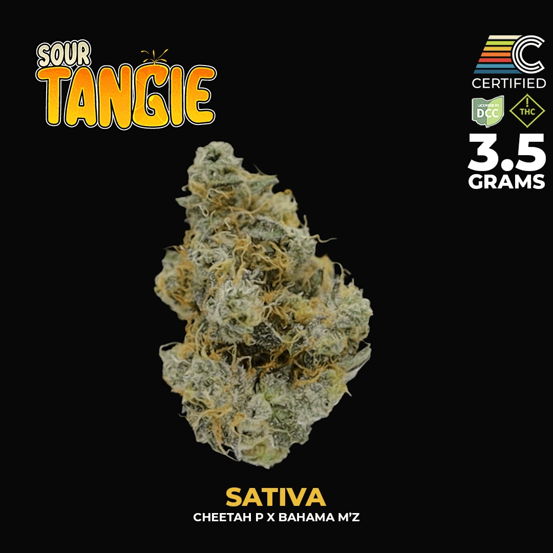 Sour Tangie Strain | Sativa Cannabis Flower | CERTIFIED