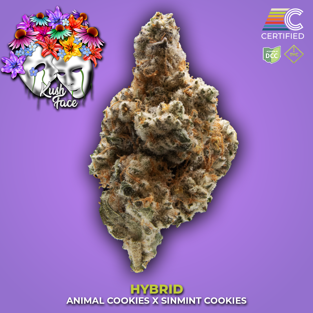 KUSH FACE - Flower 2 - DCC - 1080x1080.png