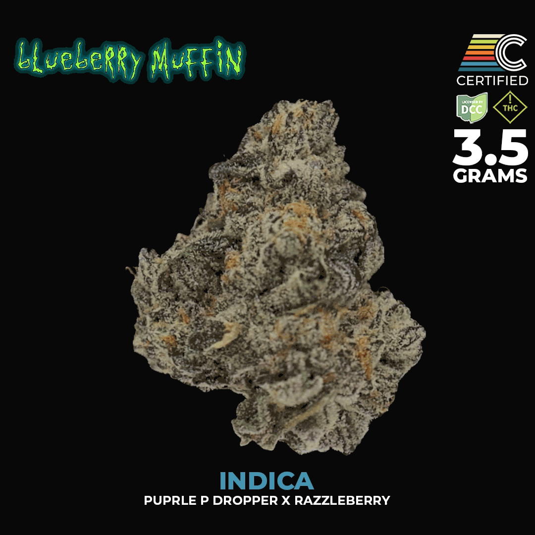 Blueberry Muffin #3