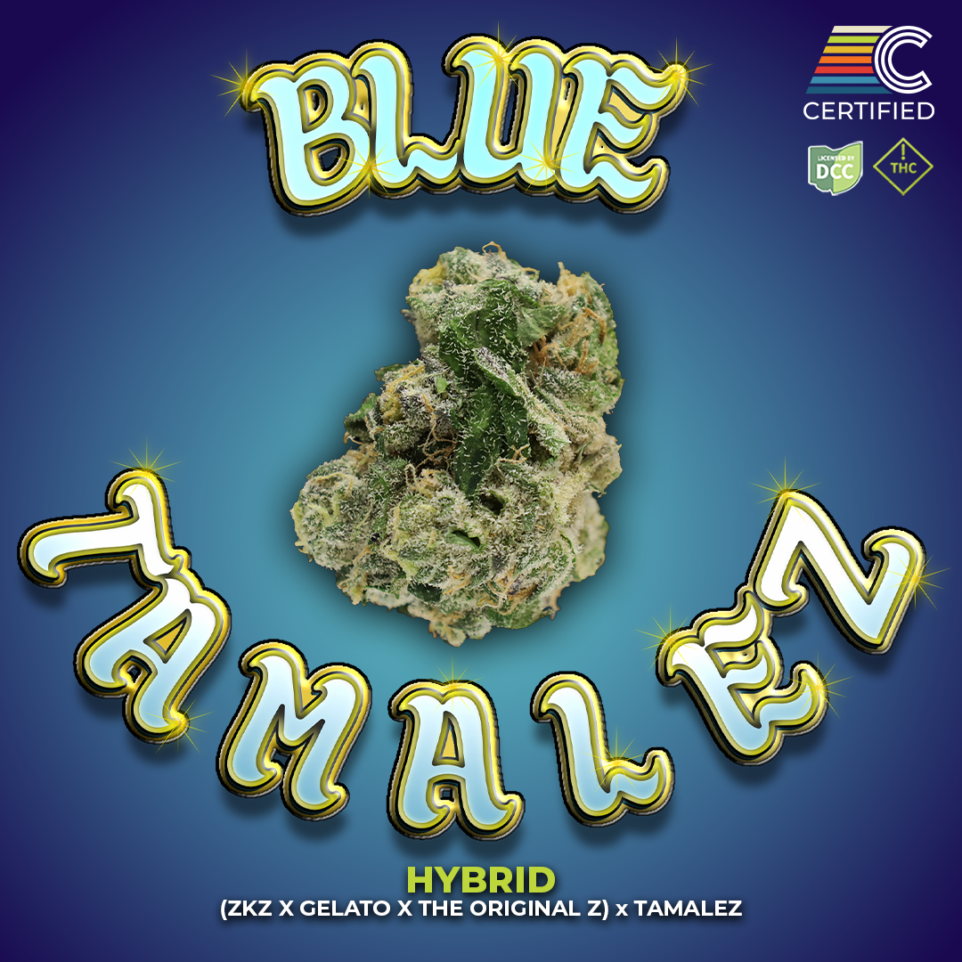Blue Tamalez - Flower 2 - DCC - 1080x1080.png