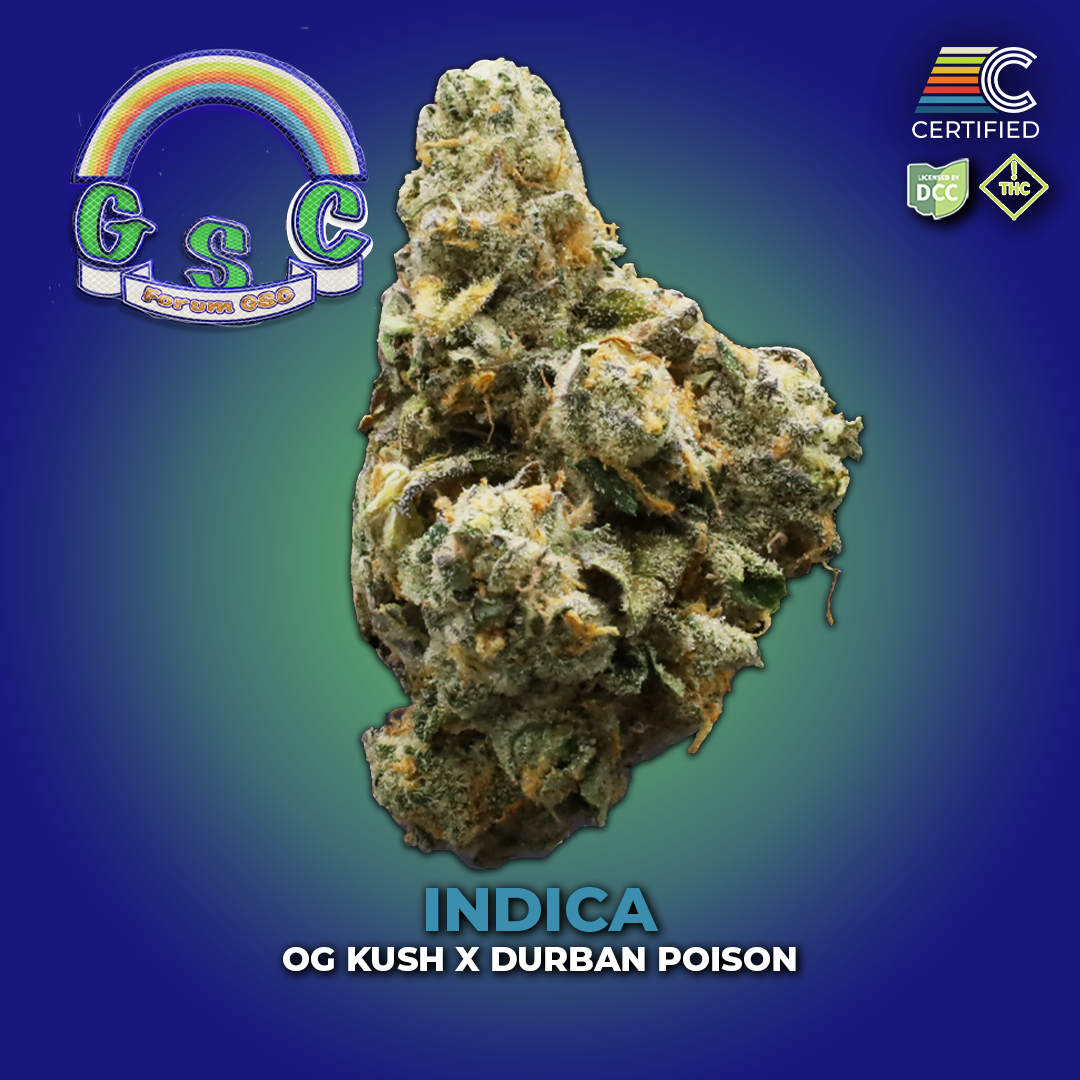 Forum GSC - Flower 2 - DCC - 1080x1080.png