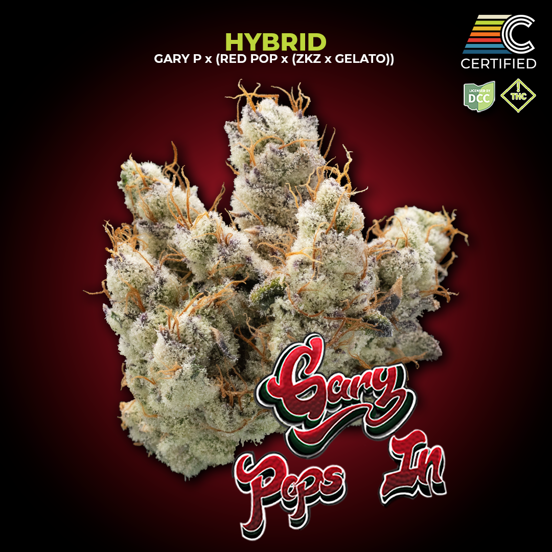 Gary Pops In - Flower 2 - DCC - 1080x1080.png