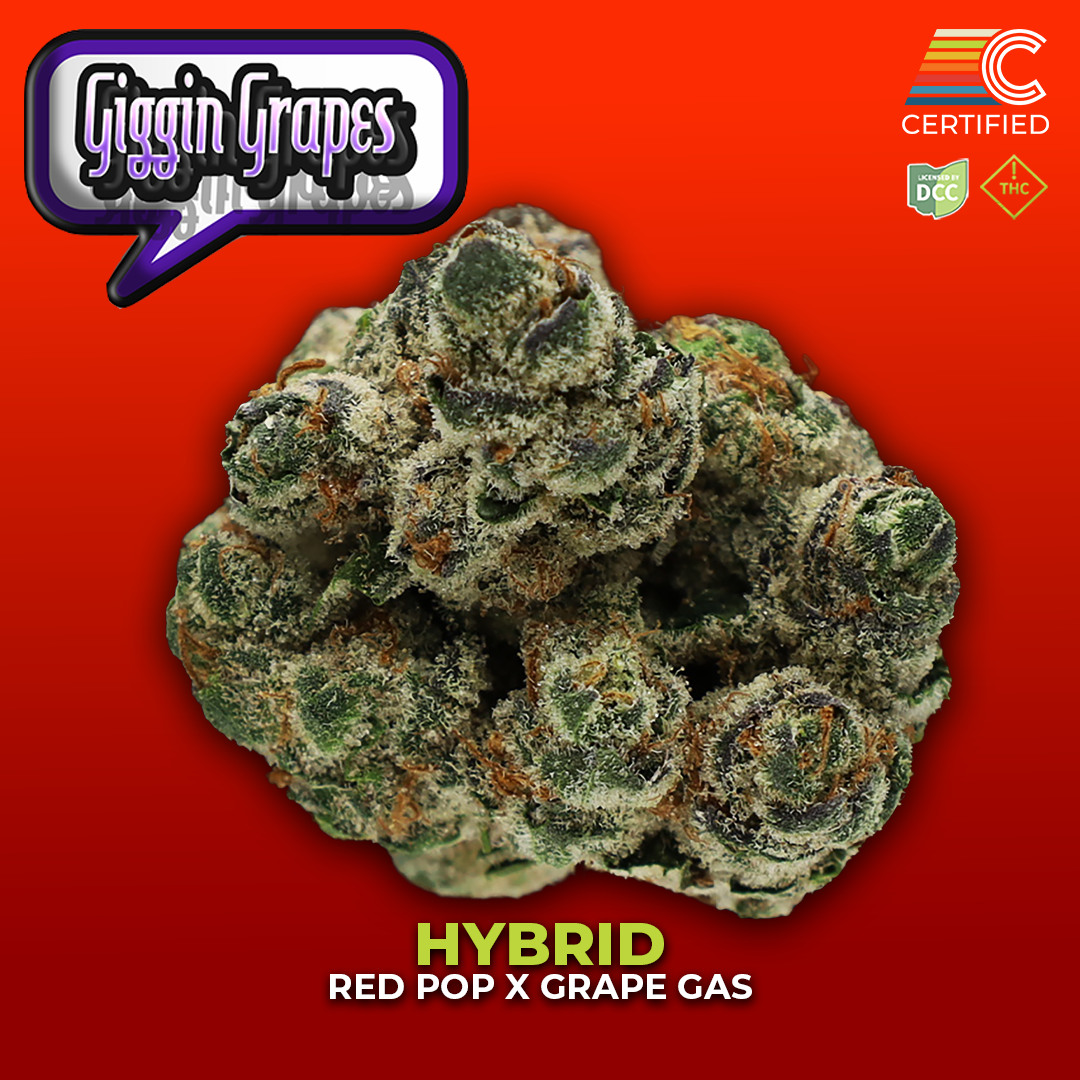 Giggin Grapes - Flower 2 - DCC - 1080x1080.png