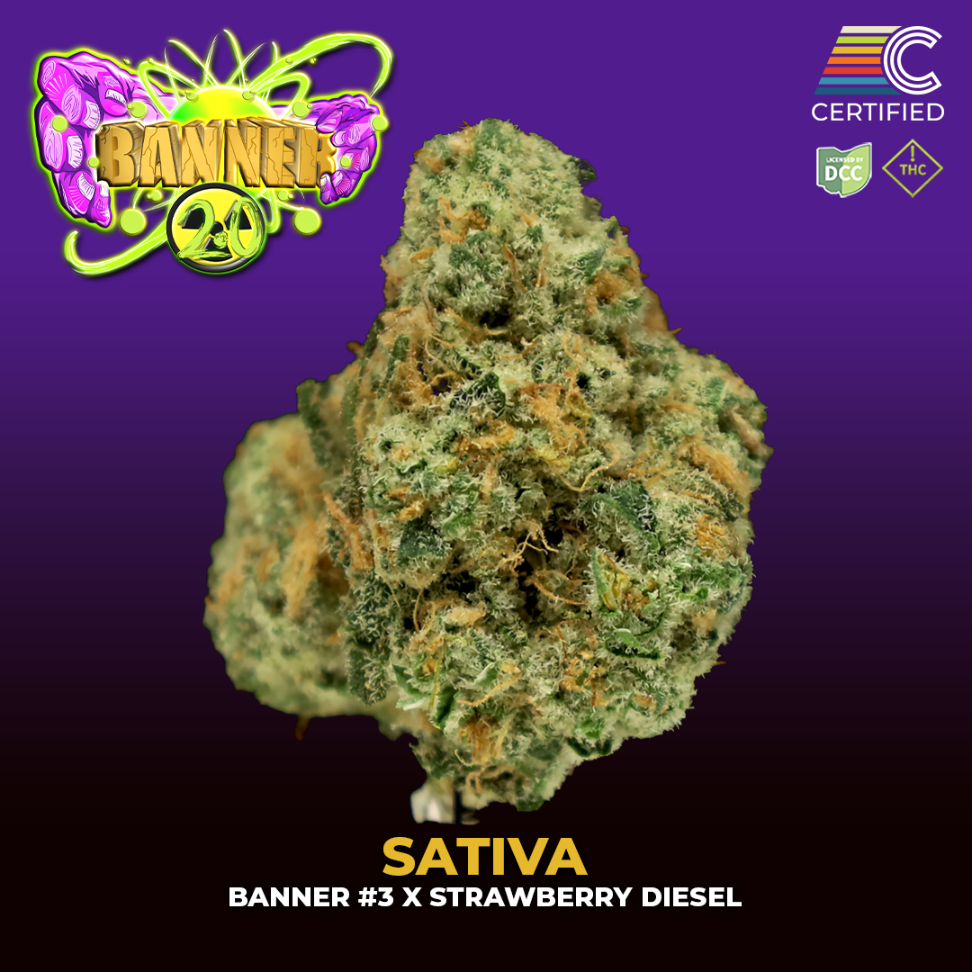 Banner 2.0 - Flower 2 - DCC - 1080x1080.png