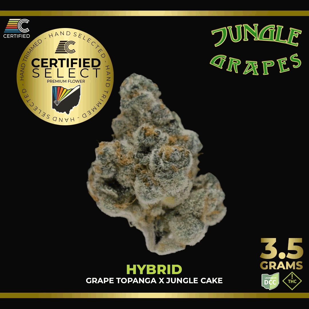 Jungle Grapes