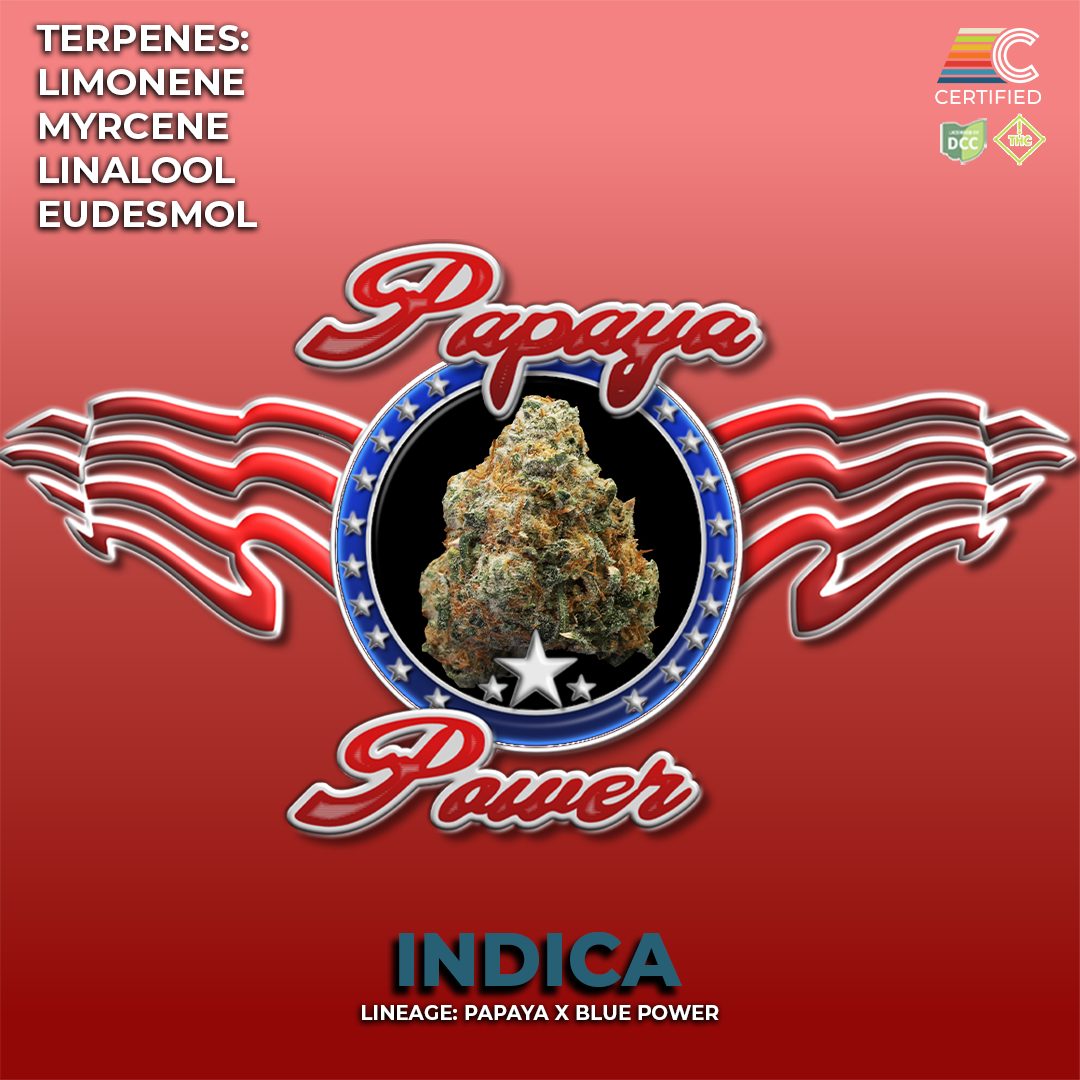 PAPAYA POWER - Flower 1 - DCC - 1080x1080.png