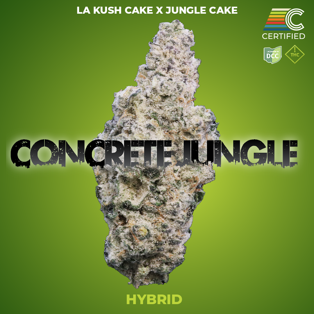 CONCRETE JUNGLE - Flower 2 - DCC - 1080x1080.png