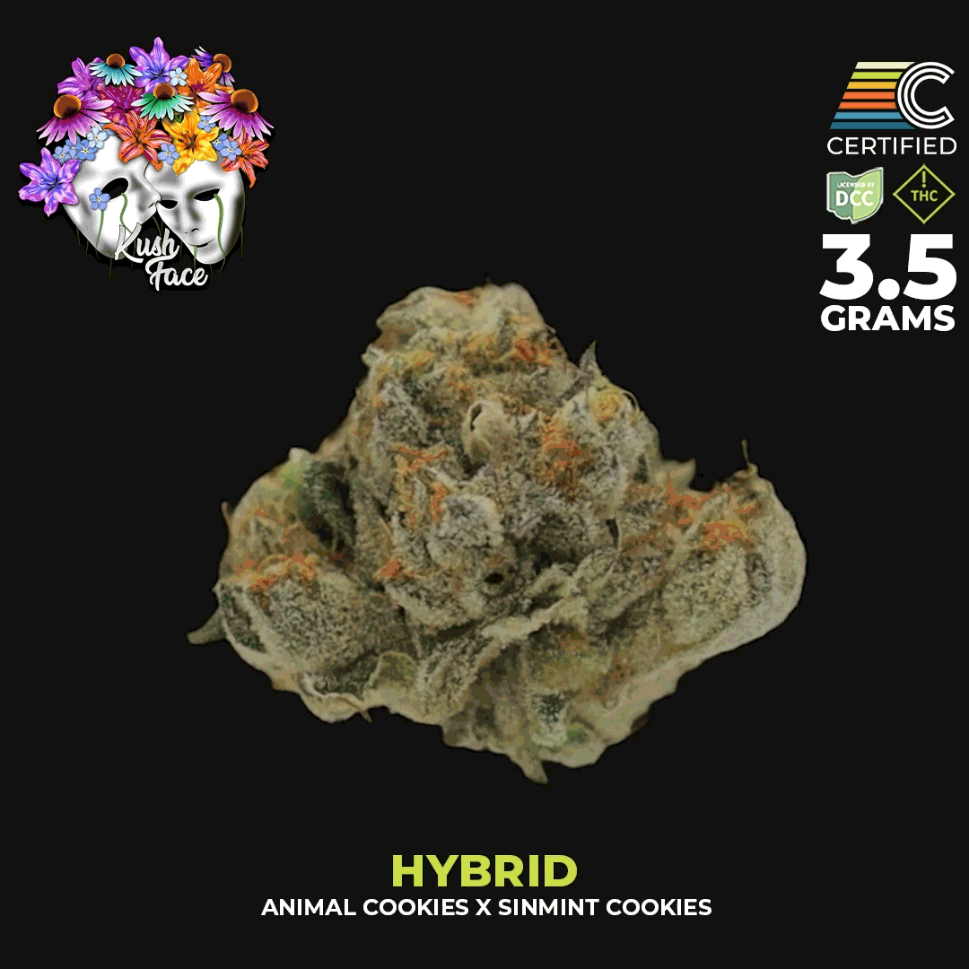 Kush Face - 3.5g - DCC - 1080x1080.gif