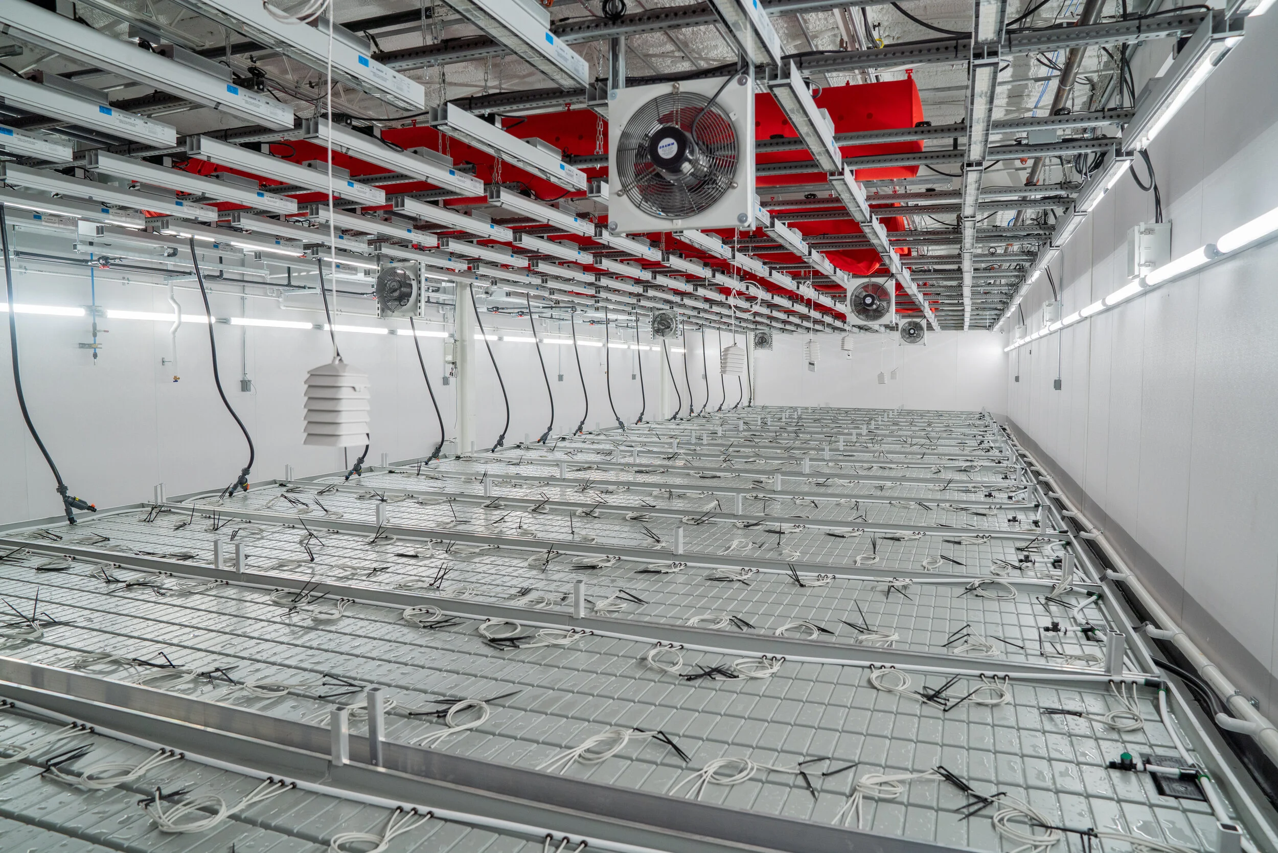 Gallery 1 — Certified Cultivators