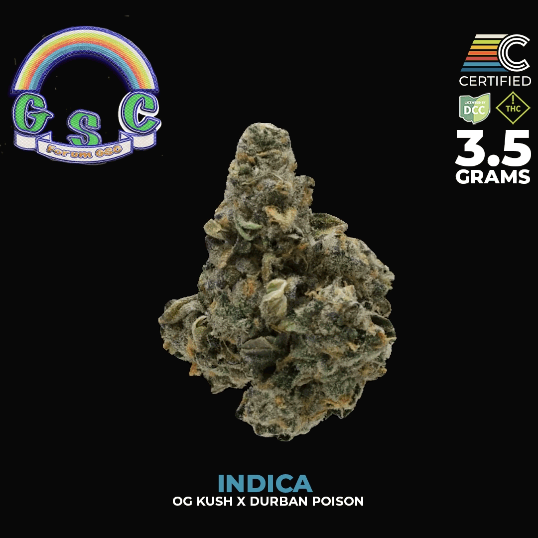 Forum GSC