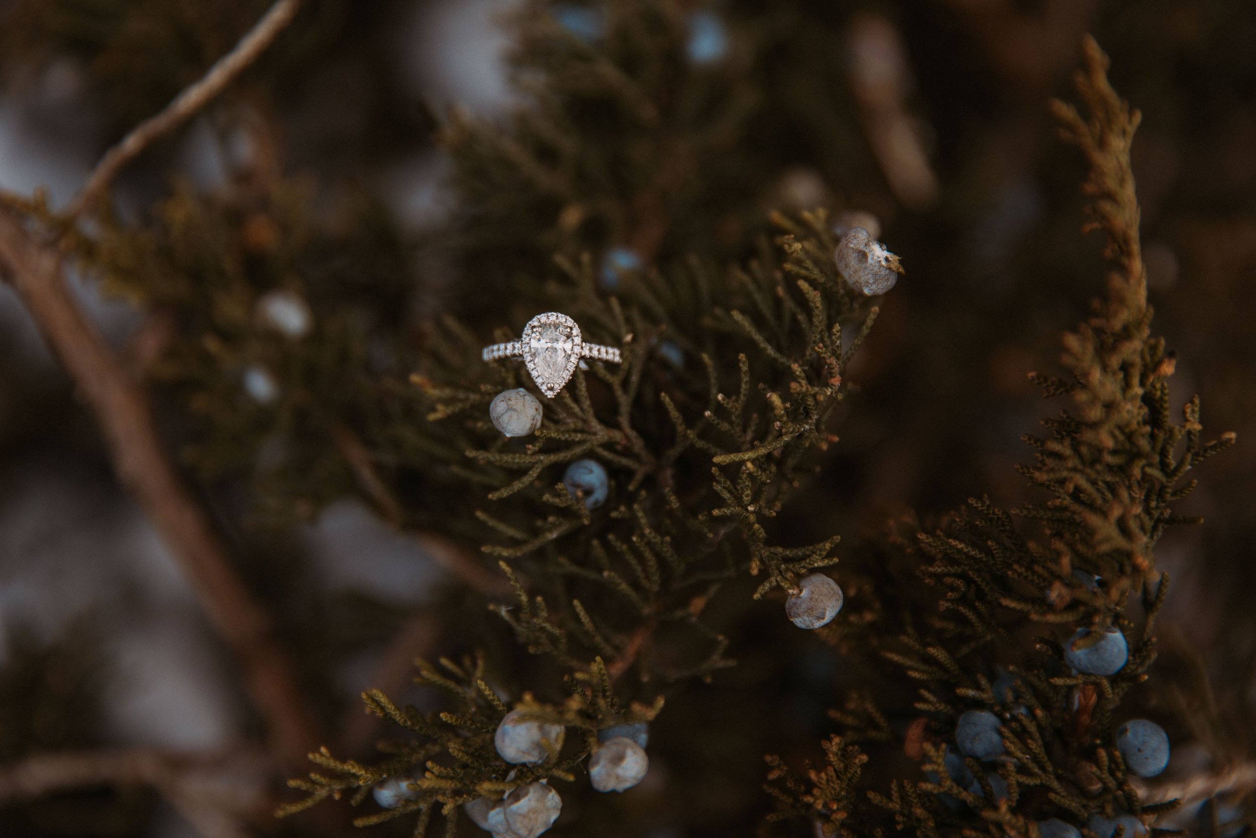 _6__3169_JL.jpg