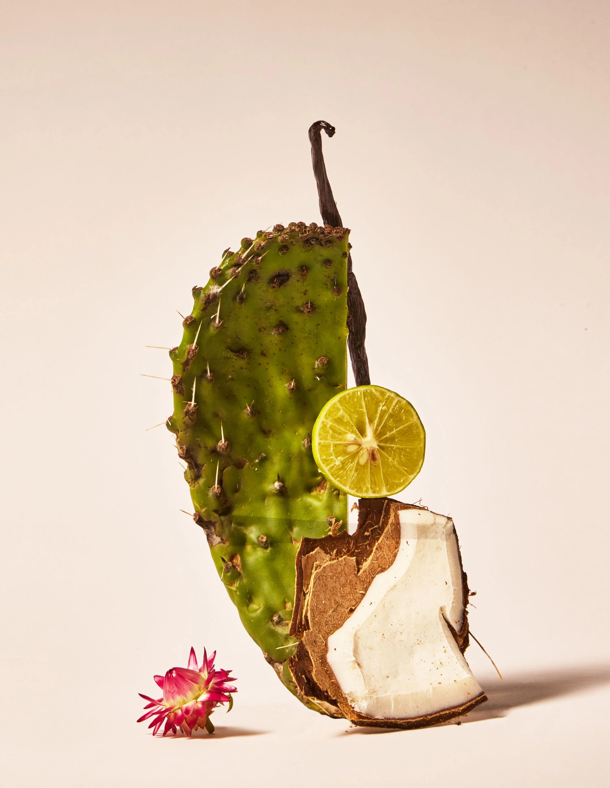 Cactus_Blossom copy.jpg