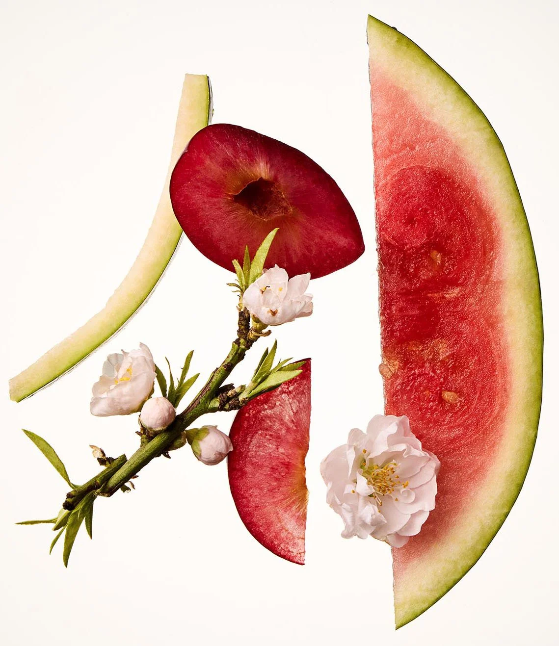 FNL_SP326_PLATECHERRYBLOSS_08-2048x2048.jpg