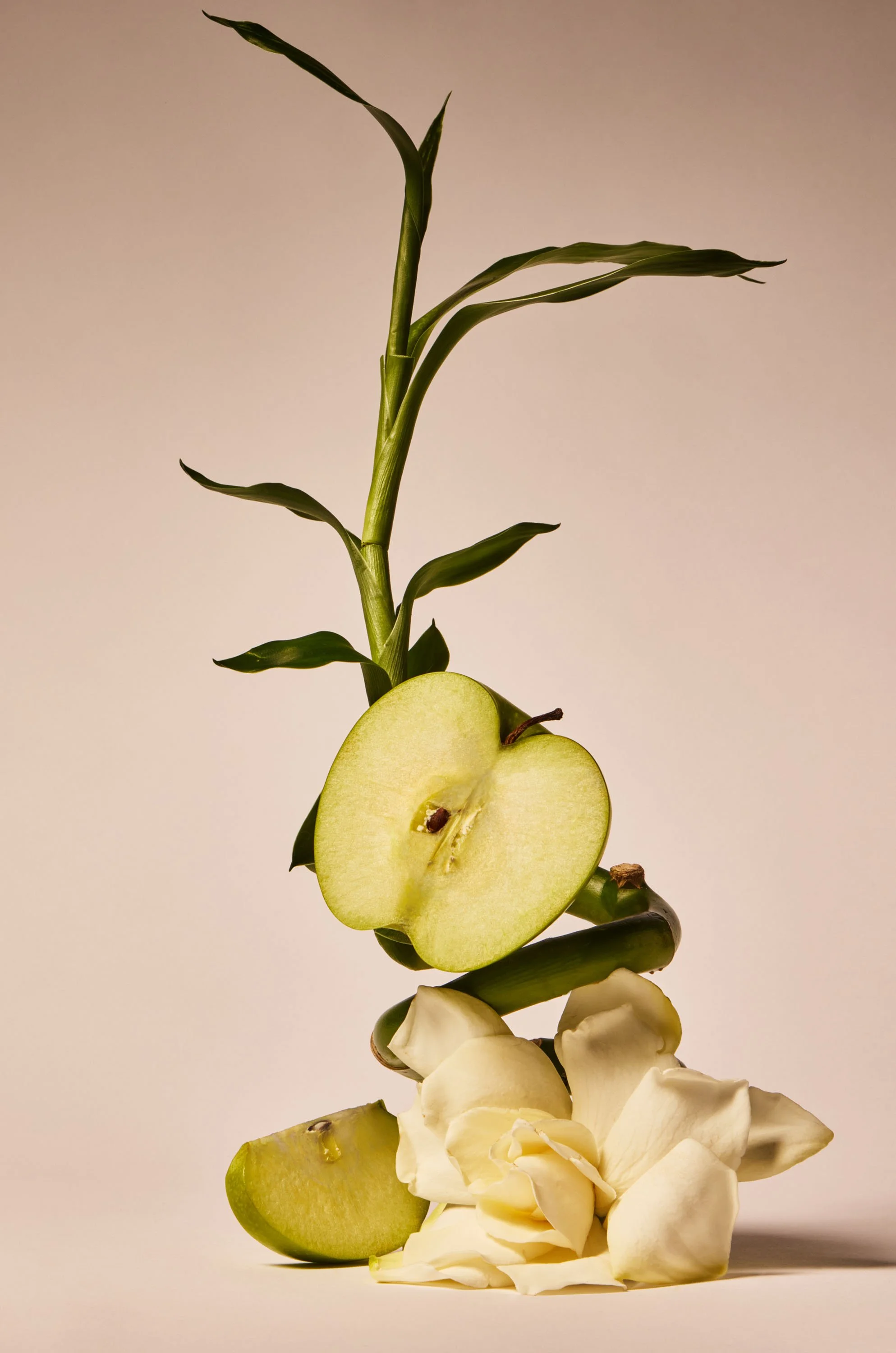 RAINFOREST_GARDENIA copy.jpg